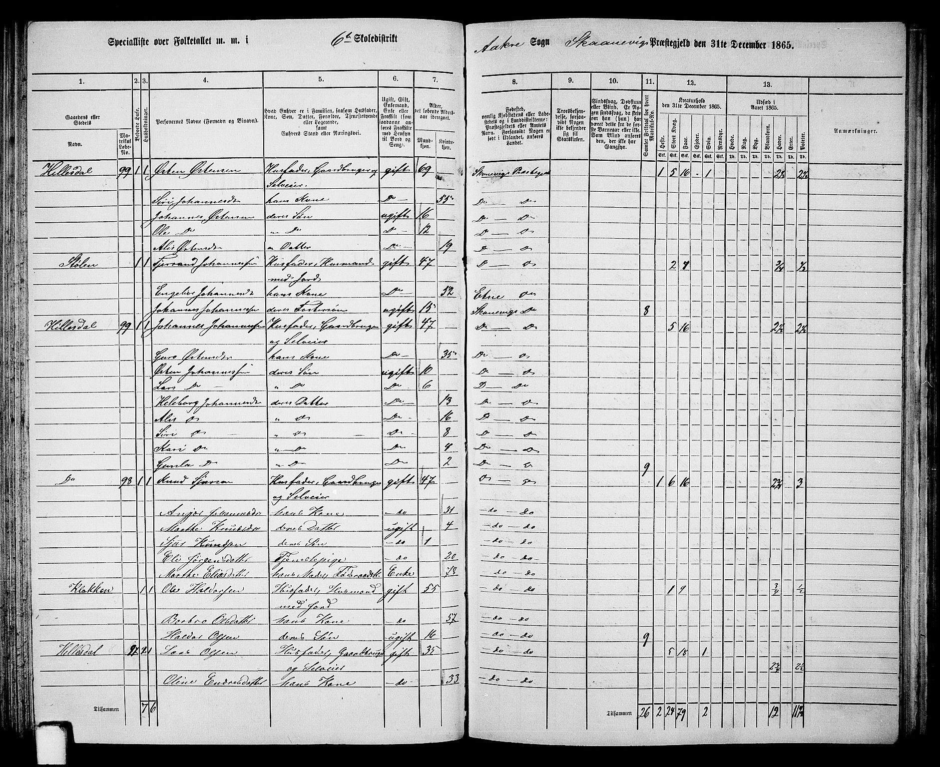 RA, 1865 census for Skånevik, 1865, p. 100