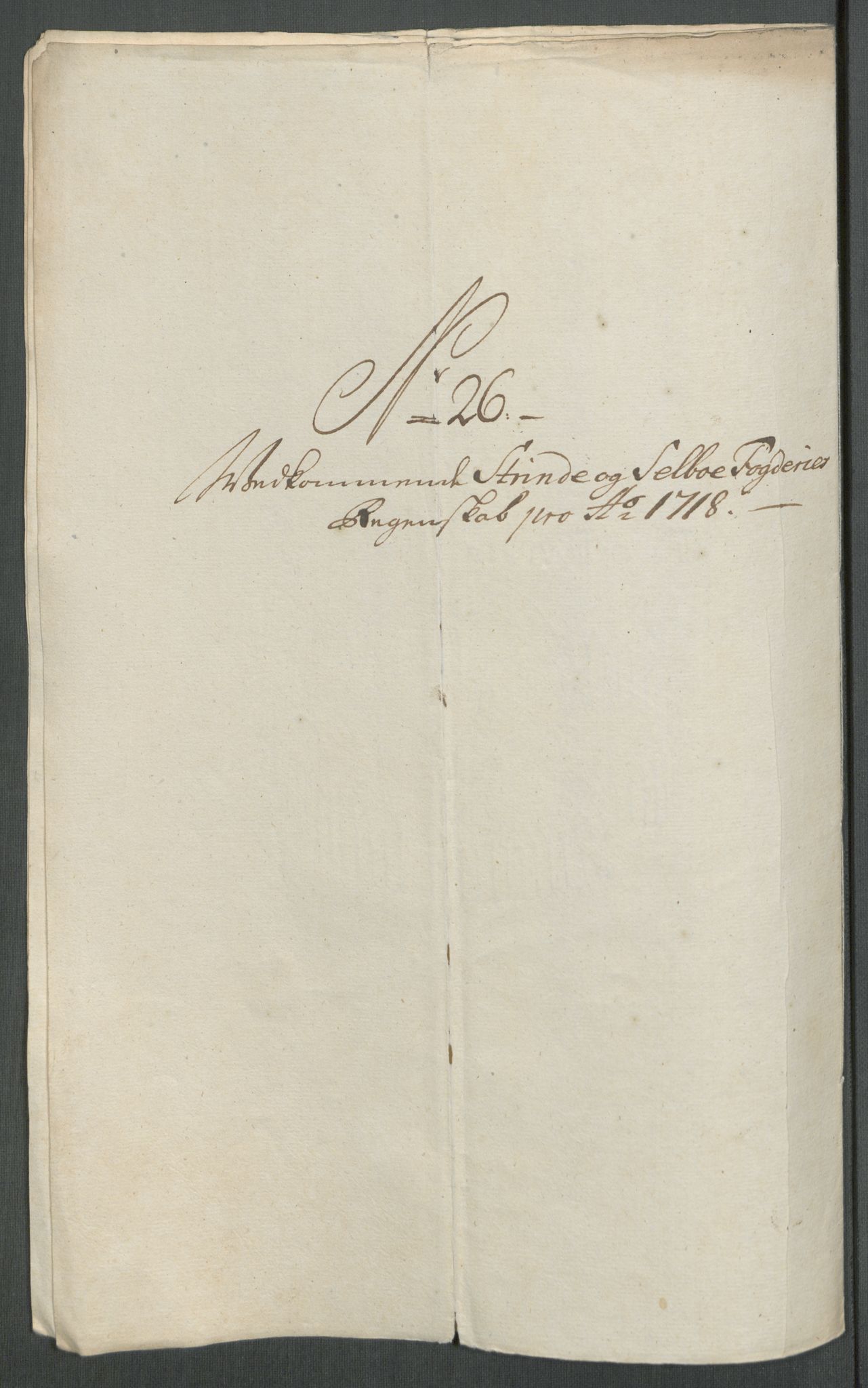 Rentekammeret inntil 1814, Reviderte regnskaper, Fogderegnskap, RA/EA-4092/R61/L4116: Fogderegnskap Strinda og Selbu, 1717-1718, p. 482