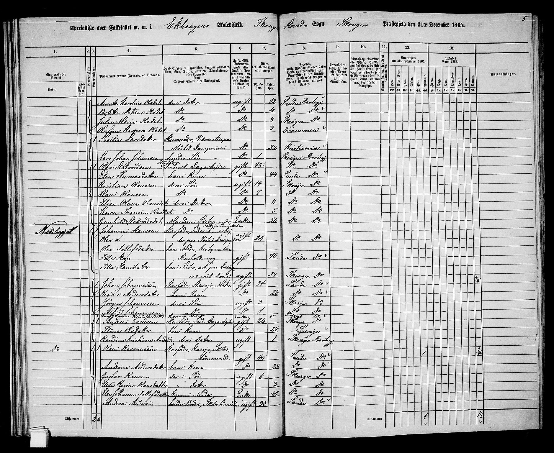 RA, 1865 census for Skoger, 1865, p. 43