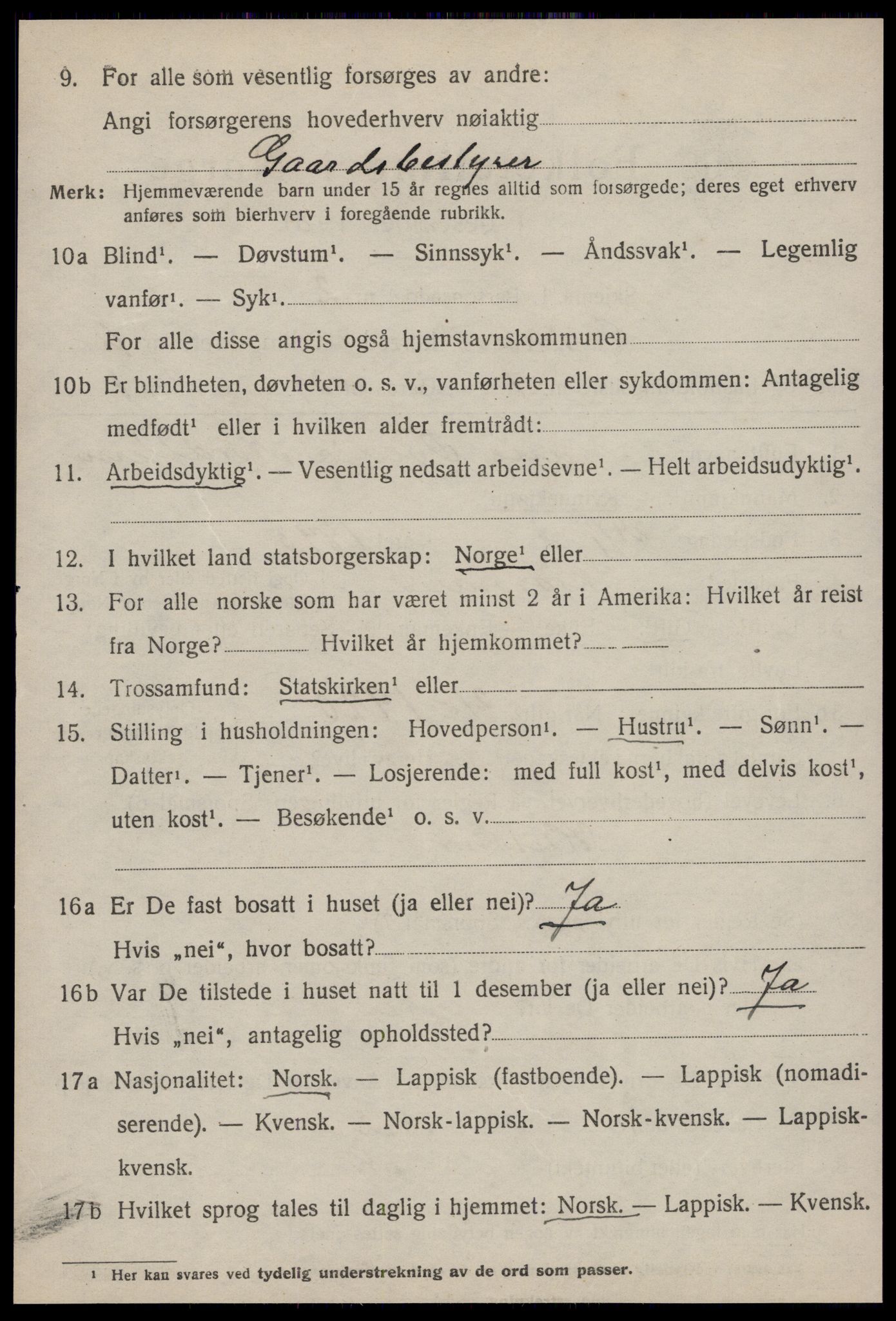 SAT, 1920 census for Strinda, 1920, p. 14453