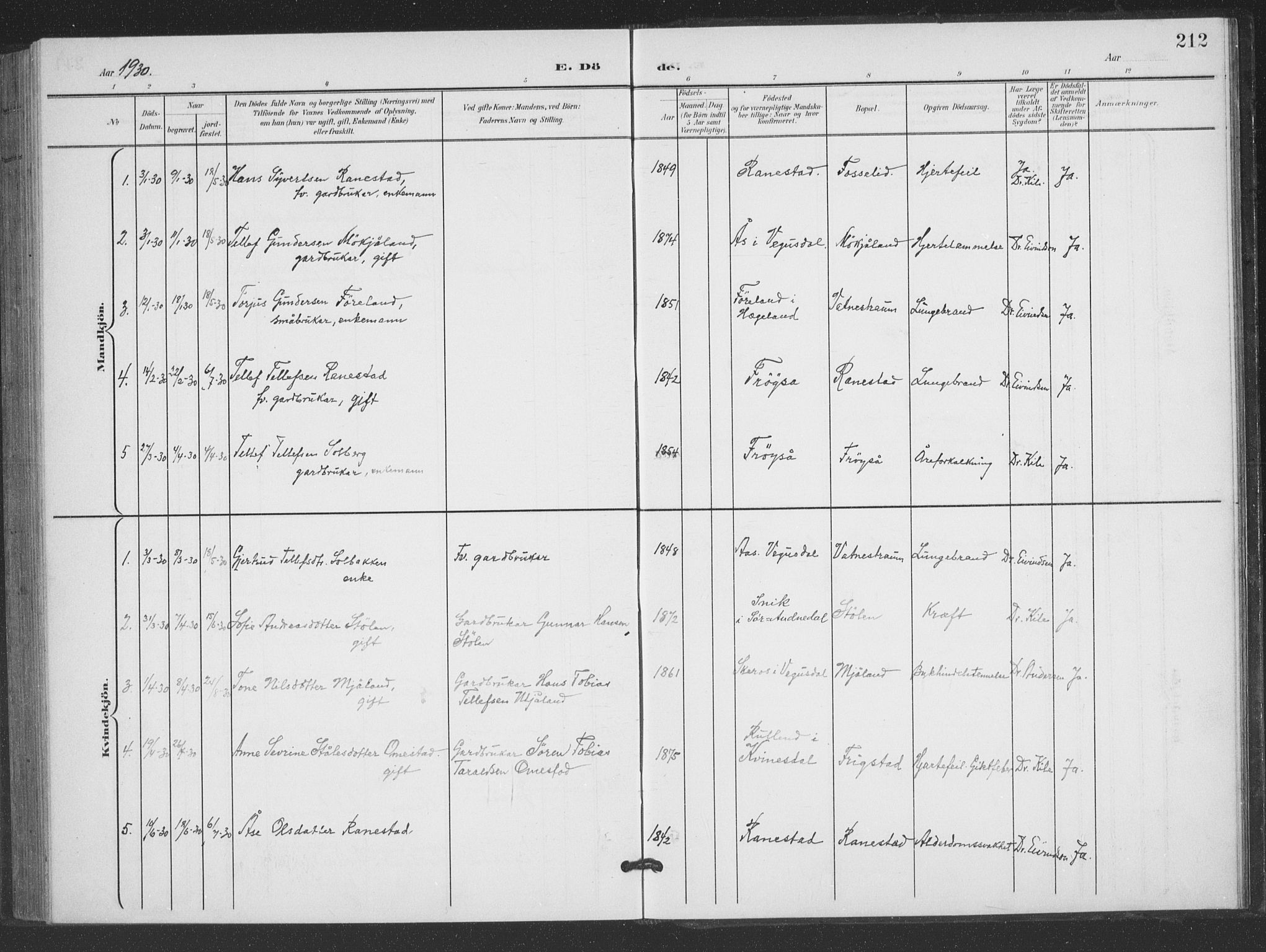 Evje sokneprestkontor, AV/SAK-1111-0008/F/Fb/Fbc/L0005: Parish register (copy) no. B 5, 1901-1935, p. 212