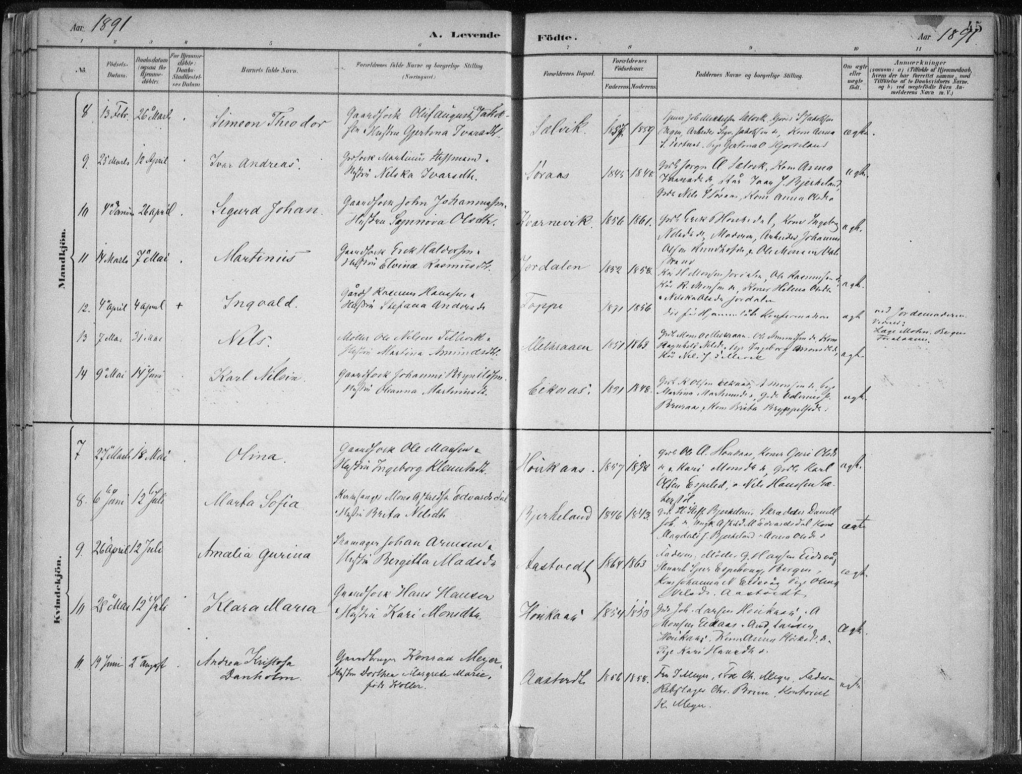 Hamre sokneprestembete, SAB/A-75501/H/Ha/Haa/Haad/L0001: Parish register (official) no. D  1, 1882-1906, p. 45