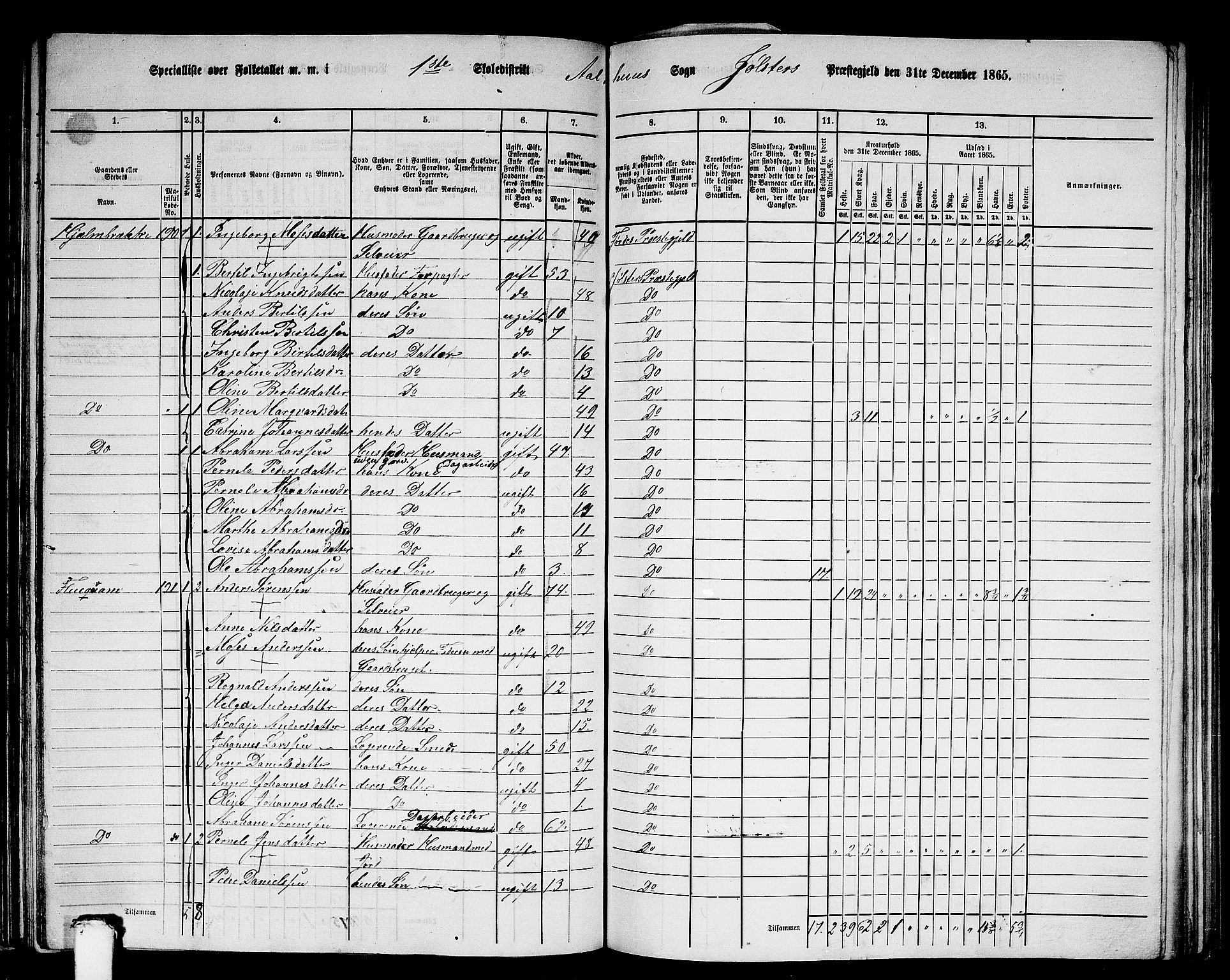 RA, 1865 census for Jølster, 1865, p. 101