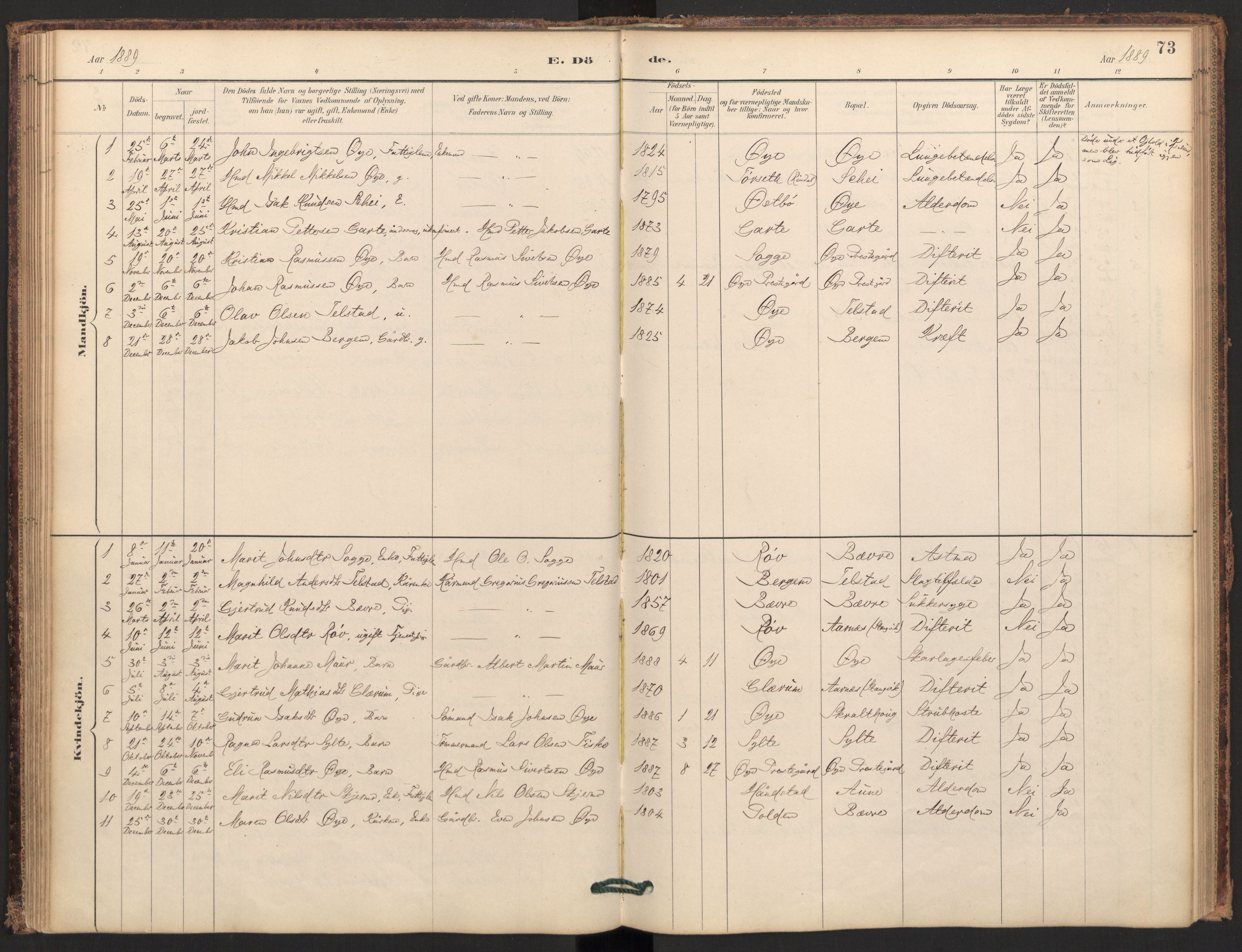 Ministerialprotokoller, klokkerbøker og fødselsregistre - Møre og Romsdal, SAT/A-1454/595/L1047: Parish register (official) no. 595A09, 1885-1900, p. 73