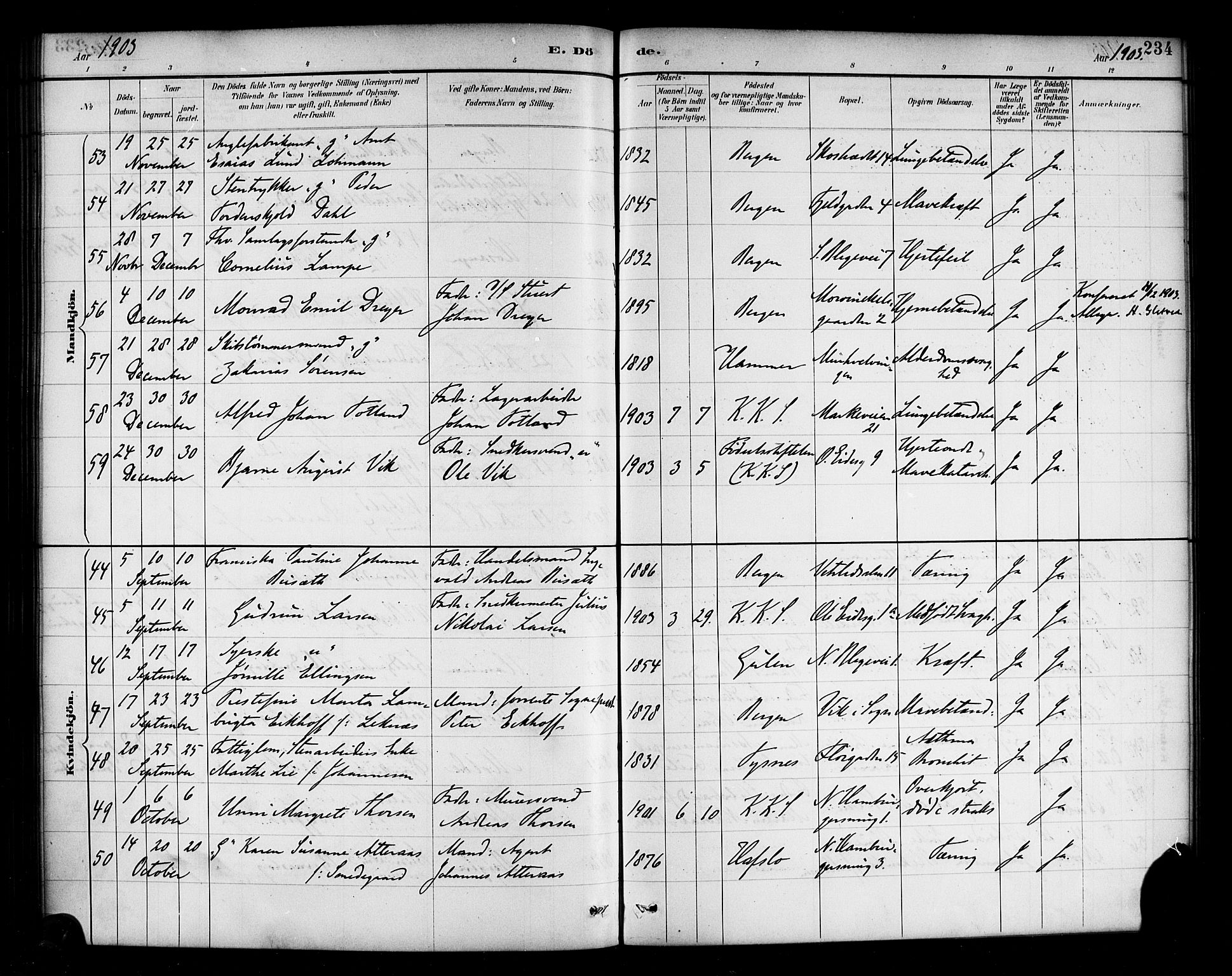 Korskirken sokneprestembete, SAB/A-76101/H/Haa/L0047: Parish register (official) no. E 5, 1884-1910, p. 234