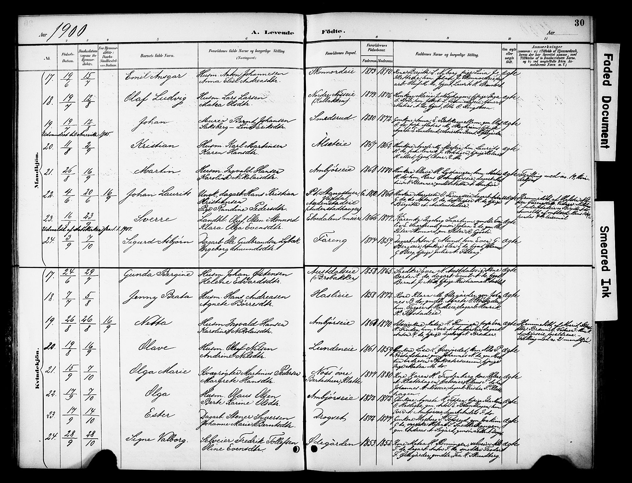 Biri prestekontor, SAH/PREST-096/H/Ha/Haa/L0008: Parish register (official) no. 8, 1894-1901, p. 30