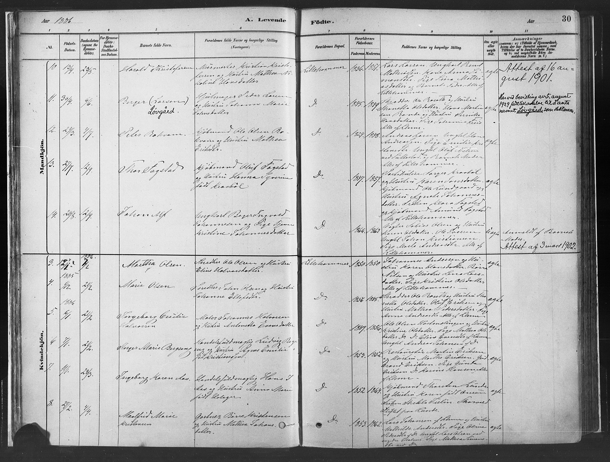 Fåberg prestekontor, SAH/PREST-086/H/Ha/Haa/L0010: Parish register (official) no. 10, 1879-1900, p. 30