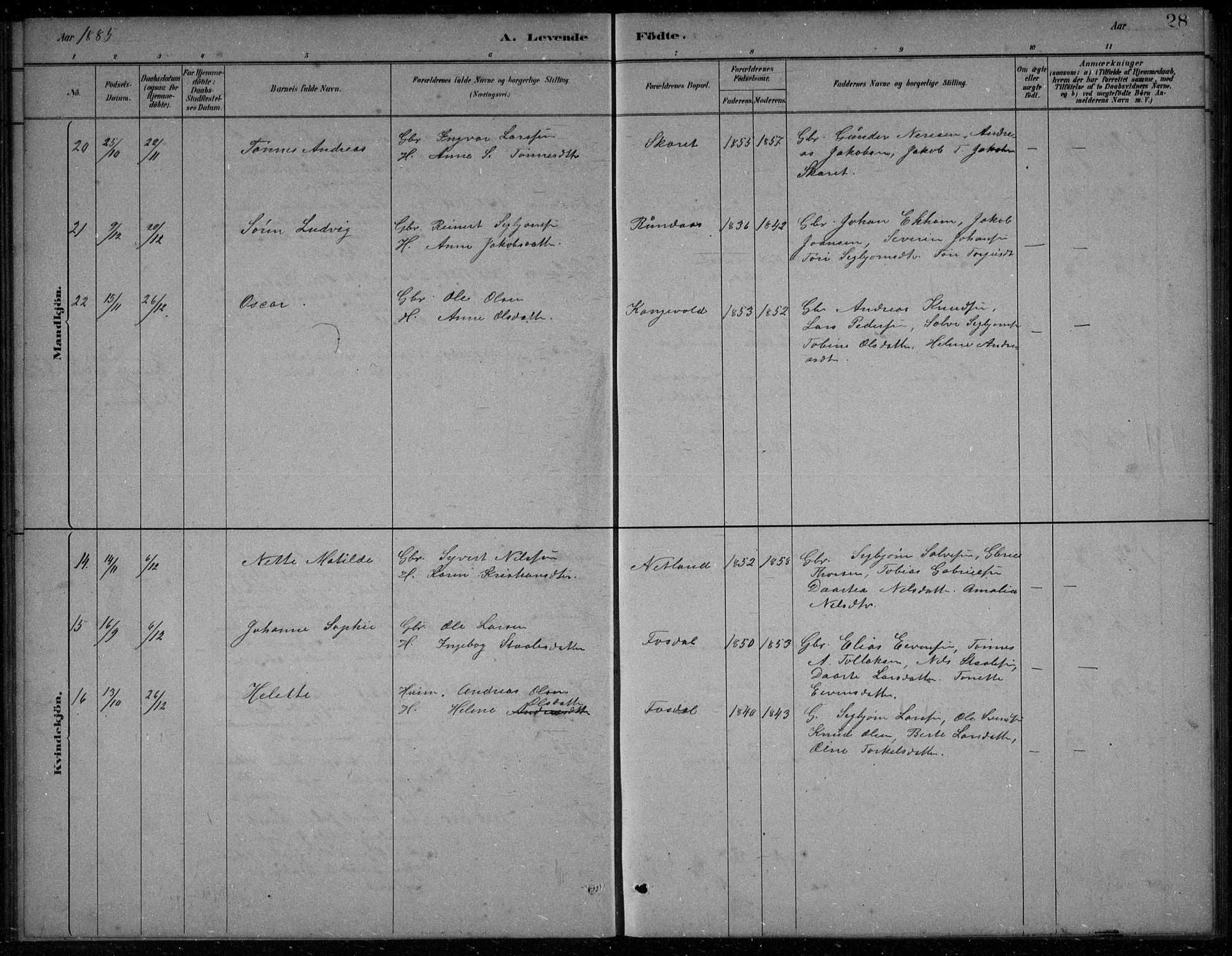 Bakke sokneprestkontor, AV/SAK-1111-0002/F/Fb/Fbb/L0003: Parish register (copy) no. B 3, 1878-1896, p. 28