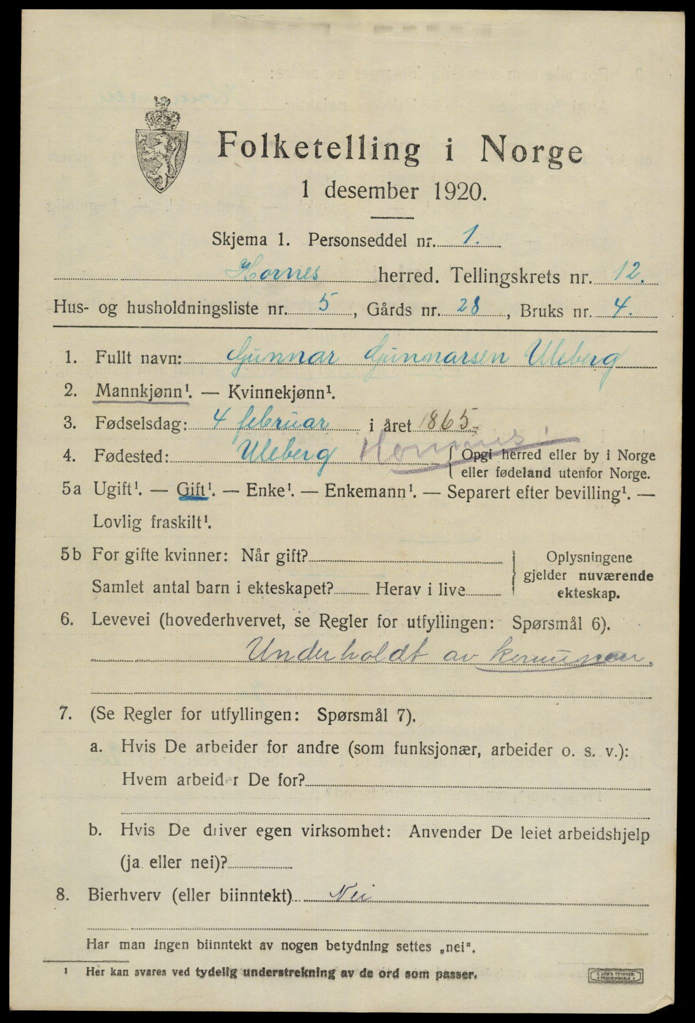 SAK, 1920 census for Hornnes, 1920, p. 2919