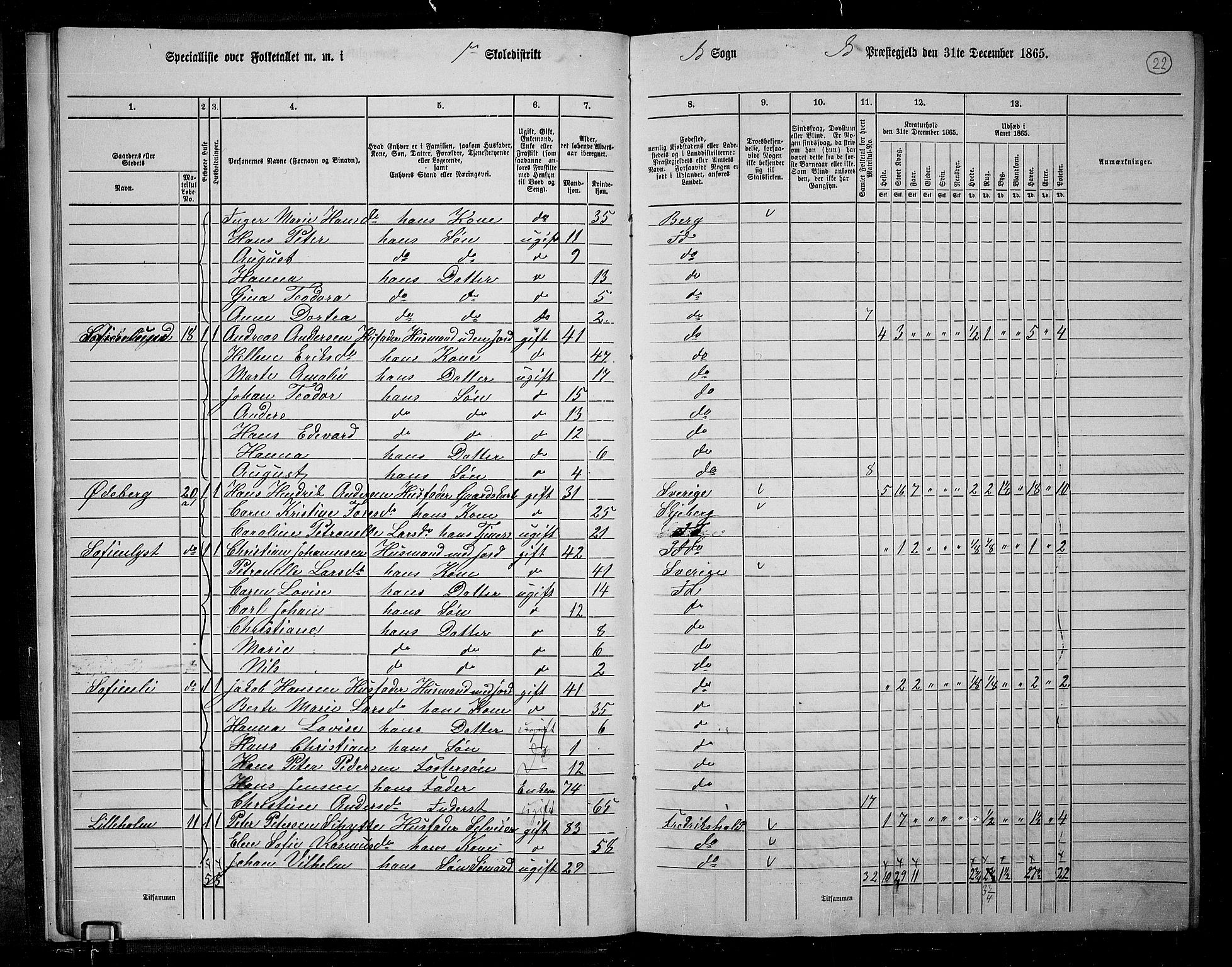 RA, 1865 census for Idd, 1865, p. 20