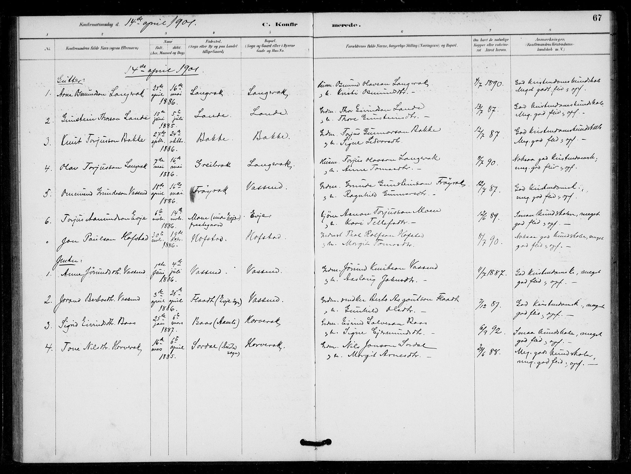 Bygland sokneprestkontor, SAK/1111-0006/F/Fa/Fad/L0001: Parish register (official) no. A 1, 1885-1906, p. 67