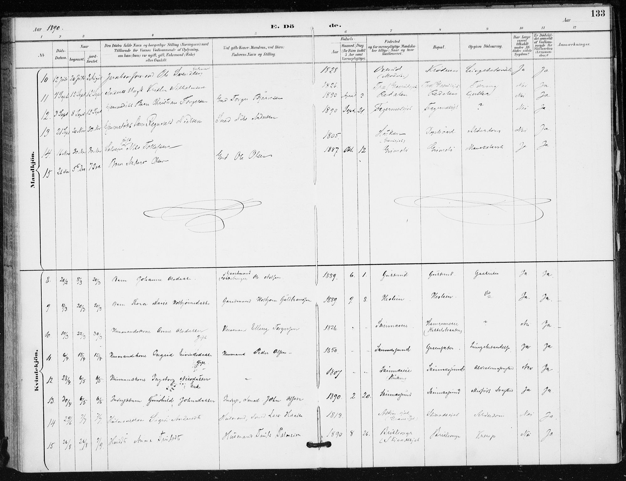 Krødsherad kirkebøker, SAKO/A-19/F/Fa/L0006: Parish register (official) no. 6, 1889-1899, p. 133
