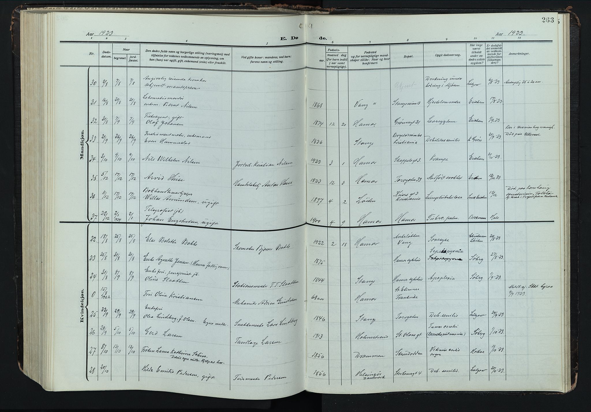 Hamar prestekontor, AV/SAH-DOMPH-002/H/Ha/Hab/L0004: Parish register (copy) no. 4, 1915-1942, p. 263