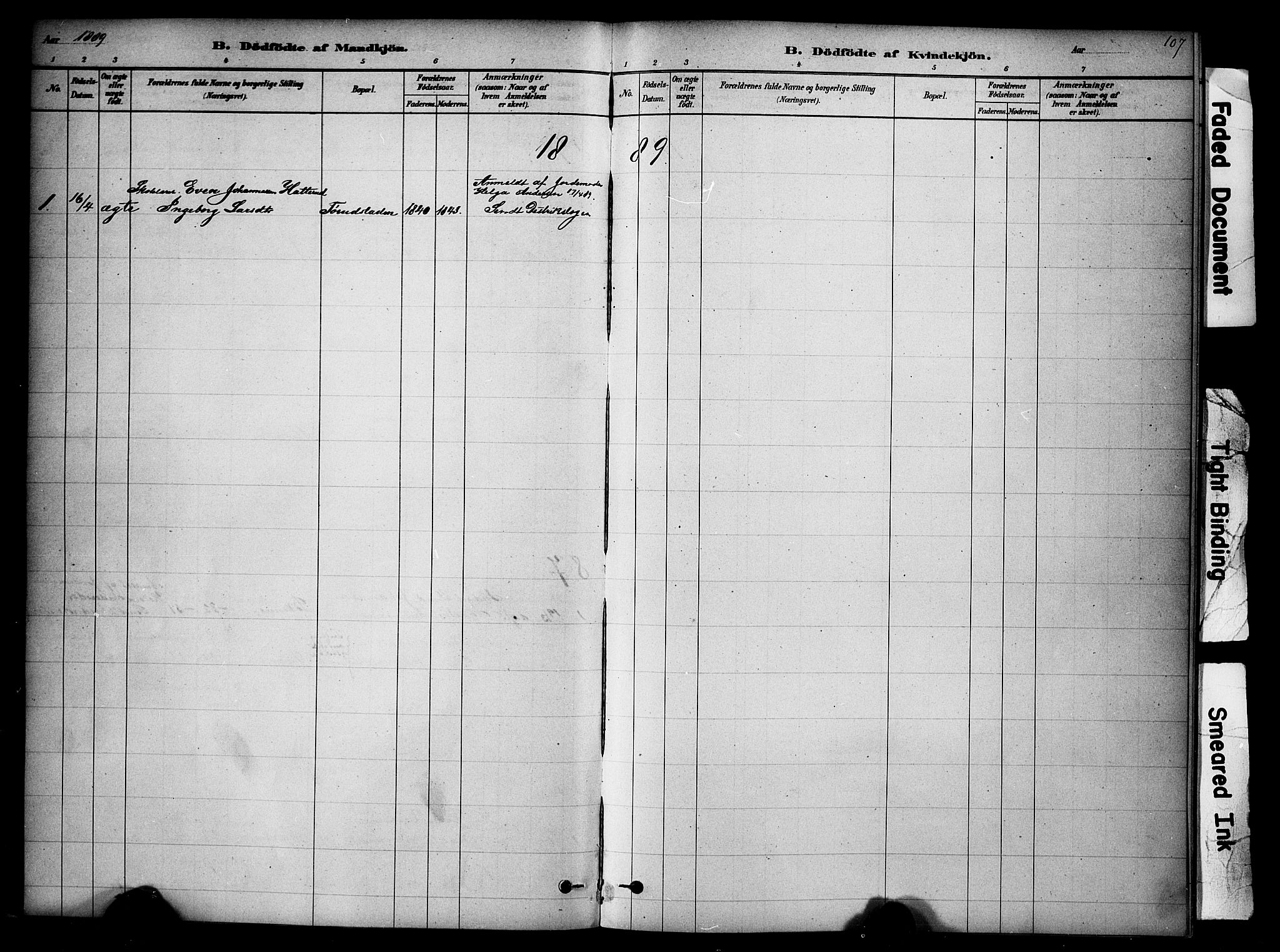Ringsaker prestekontor, SAH/PREST-014/K/Ka/L0014: Parish register (official) no. 14, 1879-1890, p. 107