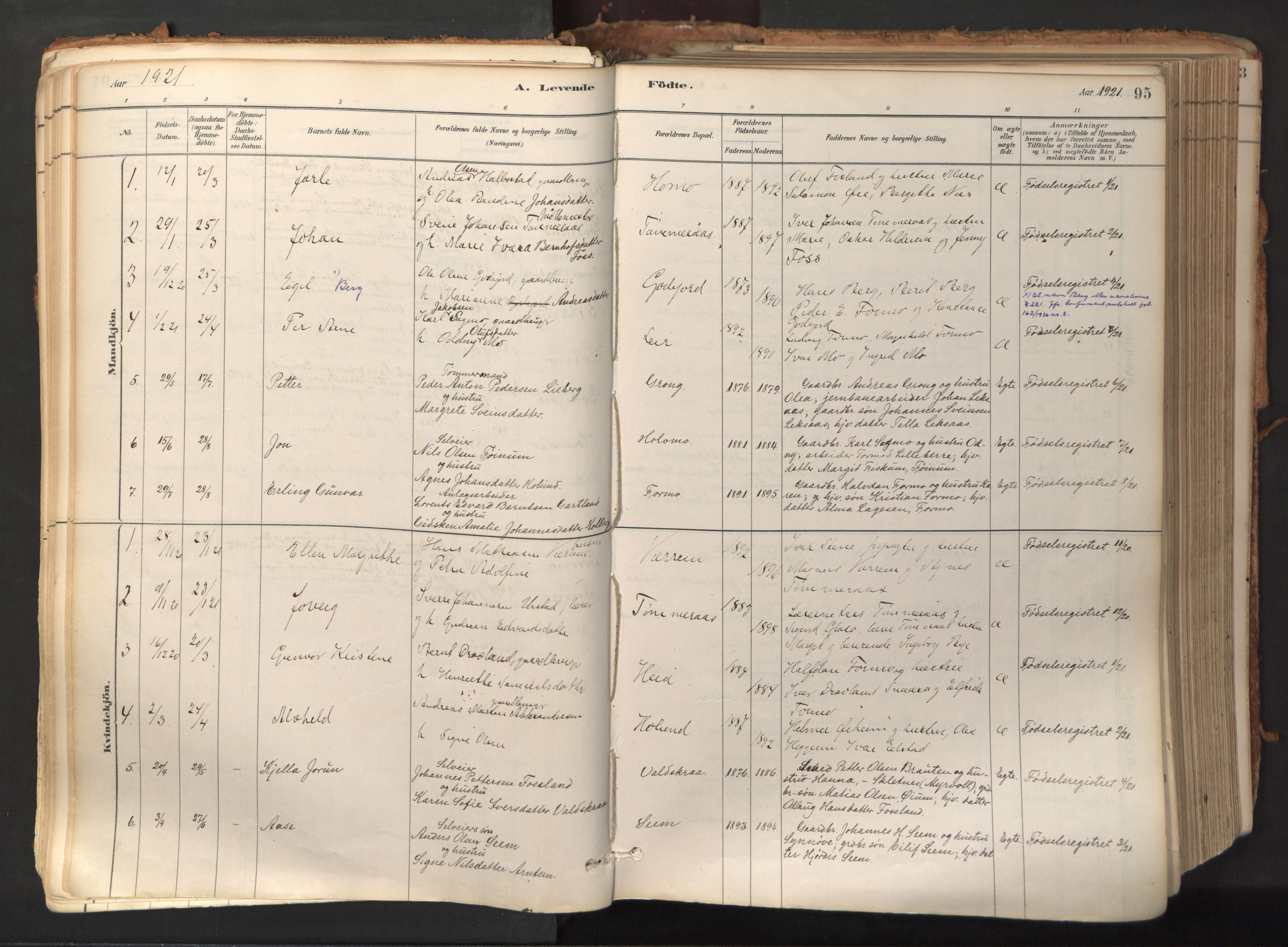 Ministerialprotokoller, klokkerbøker og fødselsregistre - Nord-Trøndelag, SAT/A-1458/758/L0519: Parish register (official) no. 758A04, 1880-1926, p. 95