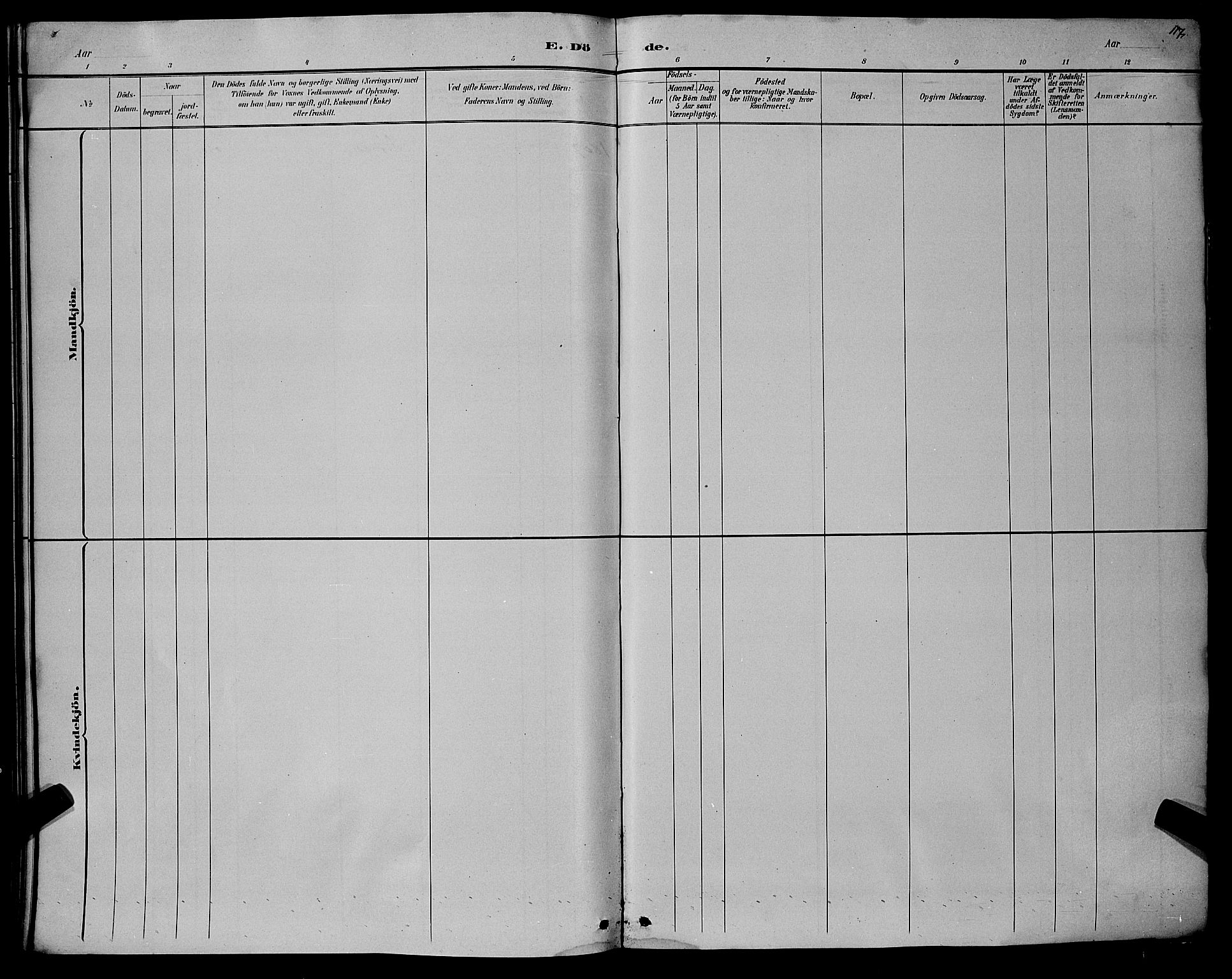 Hægebostad sokneprestkontor, AV/SAK-1111-0024/F/Fb/Fba/L0003: Parish register (copy) no. B 3, 1883-1896, p. 117