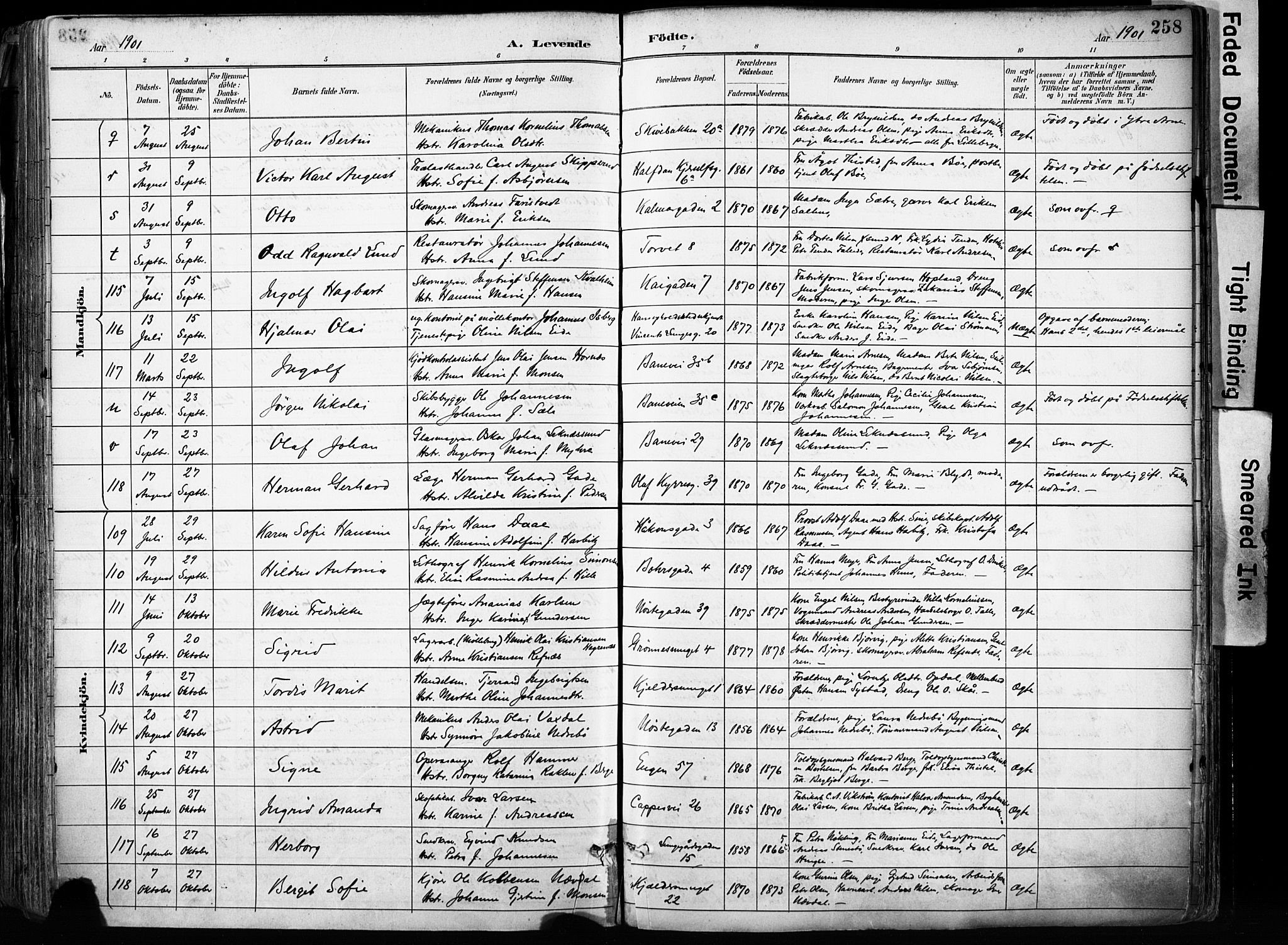 Domkirken sokneprestembete, SAB/A-74801/H/Haa/L0024: Parish register (official) no. B 7, 1888-1903, p. 258
