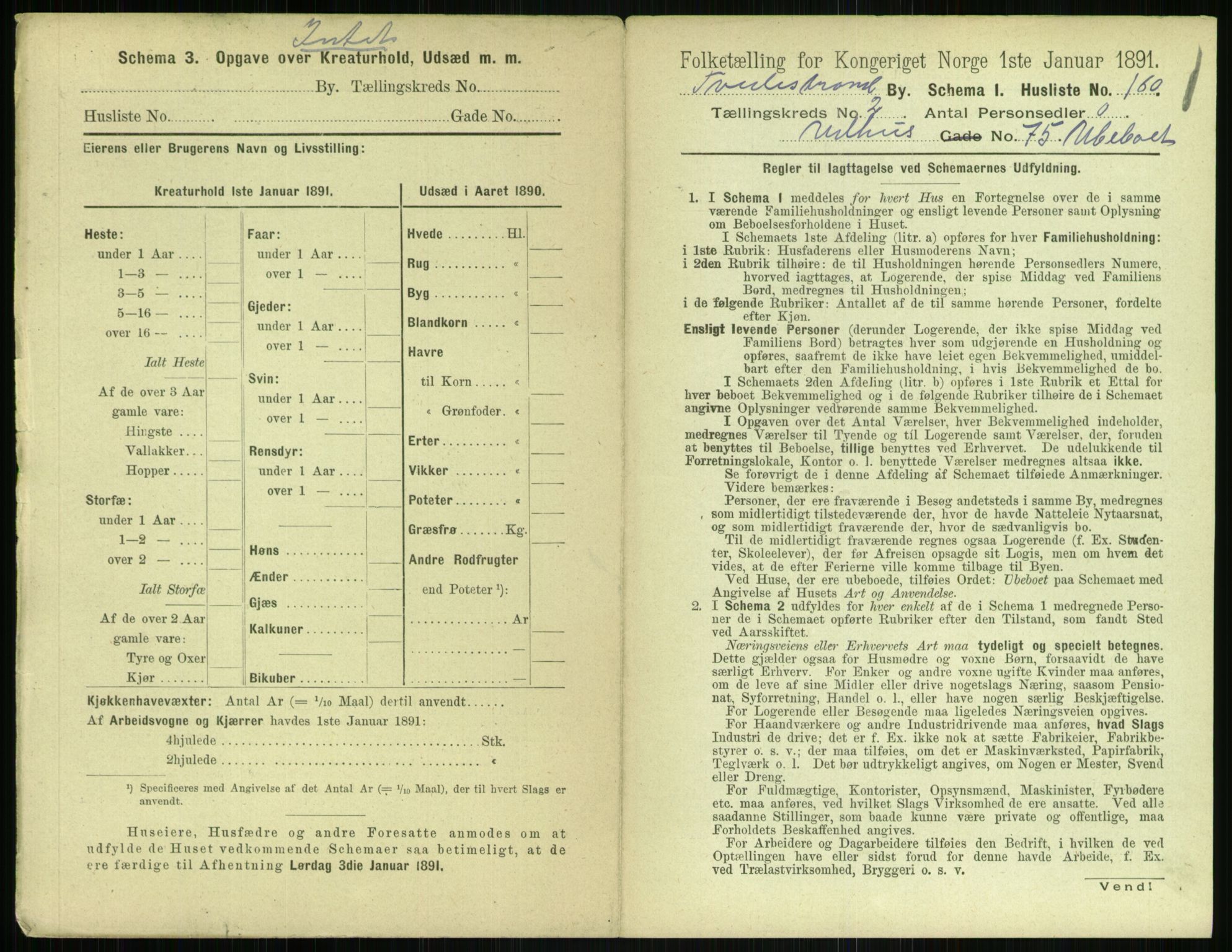 RA, 1891 census for 0902 Tvedestrand, 1891, p. 598