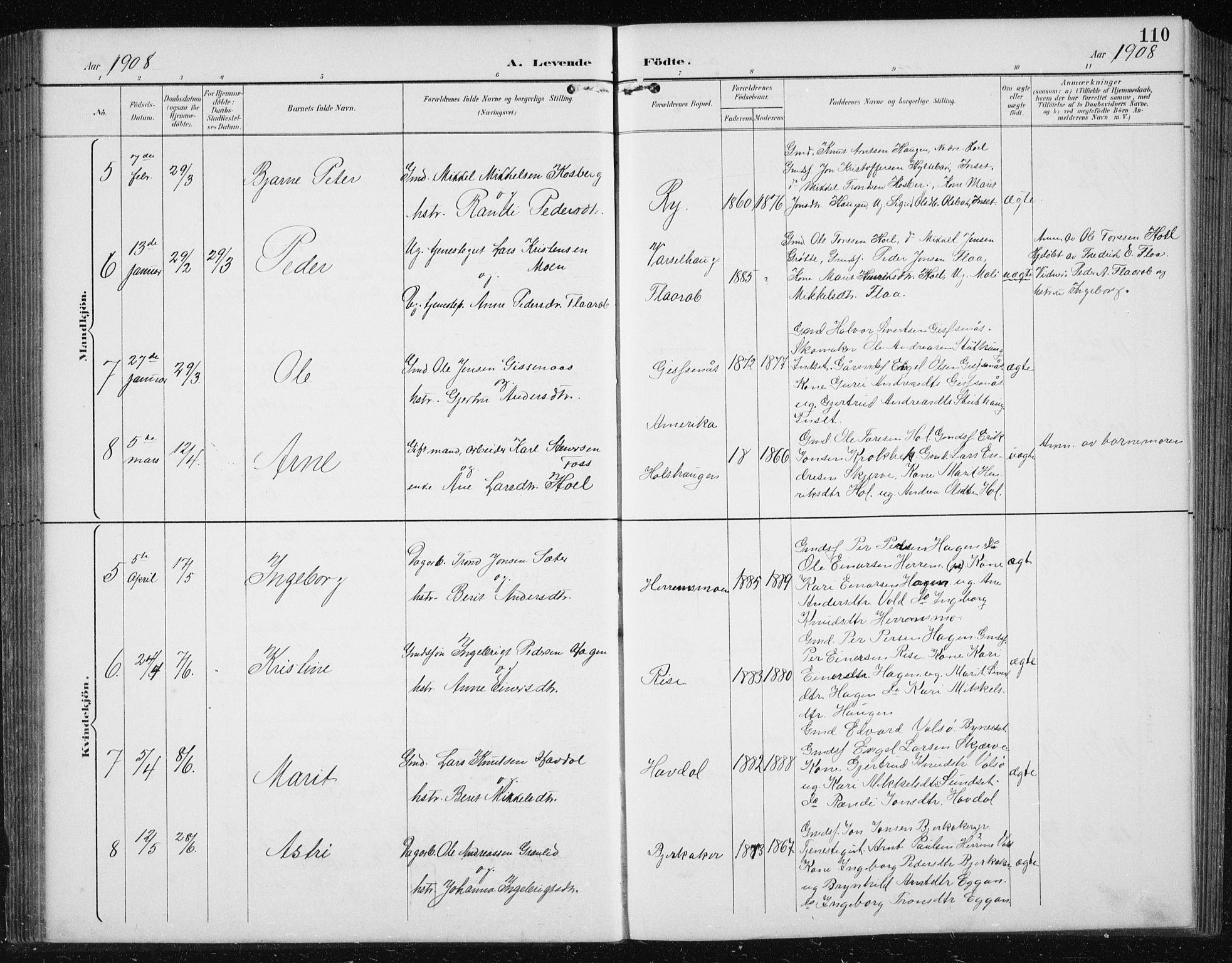 Ministerialprotokoller, klokkerbøker og fødselsregistre - Sør-Trøndelag, SAT/A-1456/674/L0876: Parish register (copy) no. 674C03, 1892-1912, p. 110