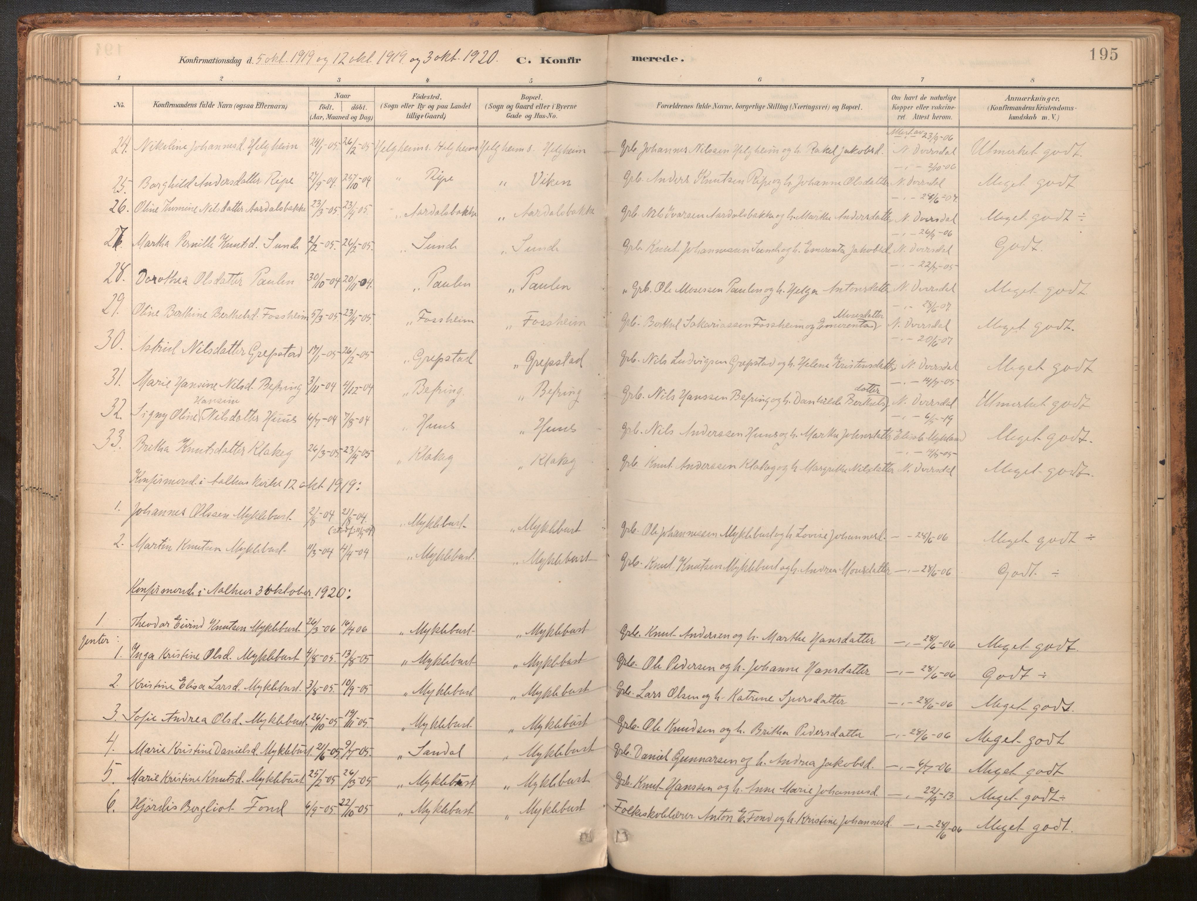 Jølster sokneprestembete, AV/SAB-A-80701/H/Haa/Haac/L0001: Parish register (official) no. C 1, 1882-1928, p. 195