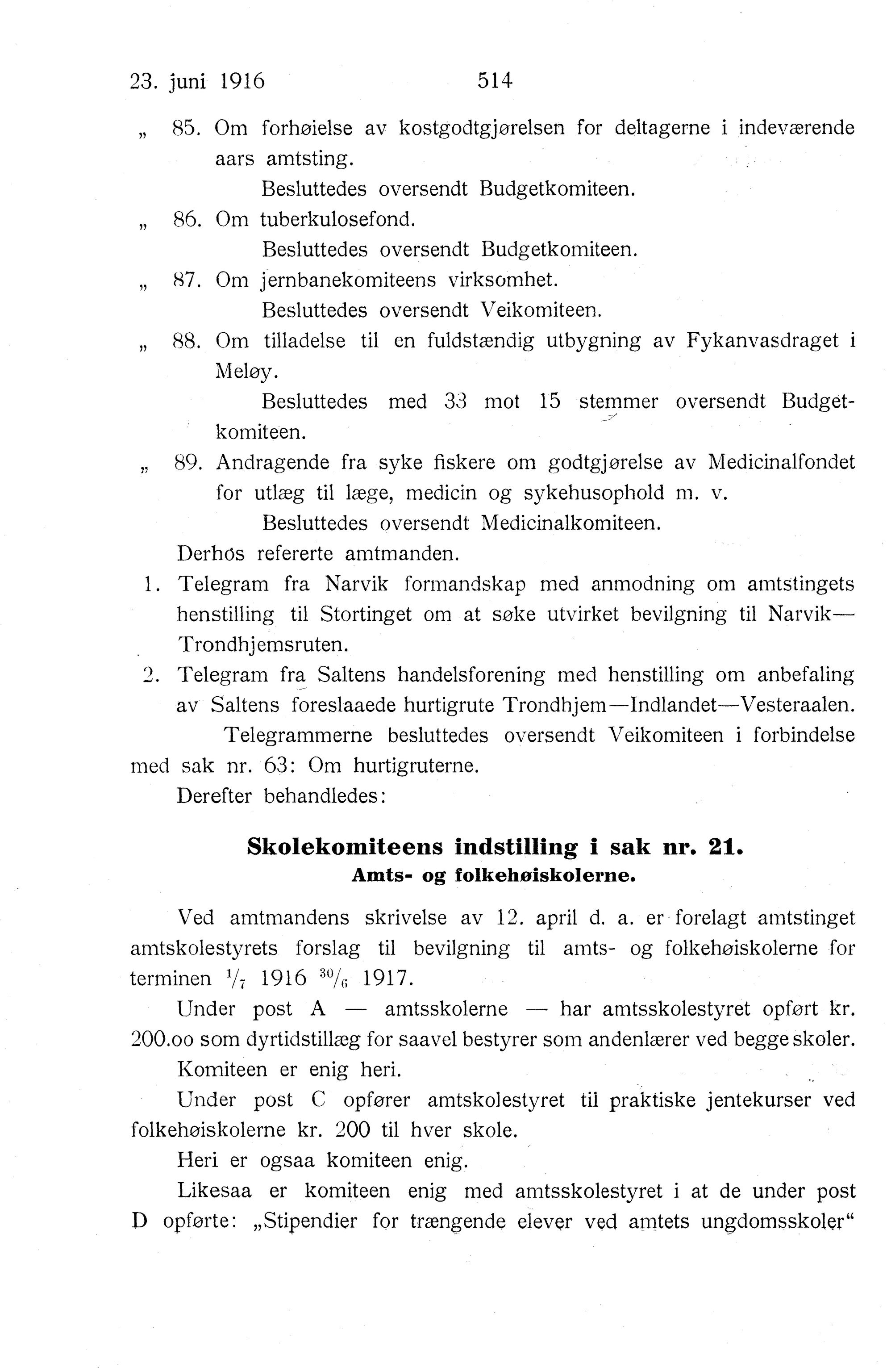 Nordland Fylkeskommune. Fylkestinget, AIN/NFK-17/176/A/Ac/L0039: Fylkestingsforhandlinger 1916, 1916