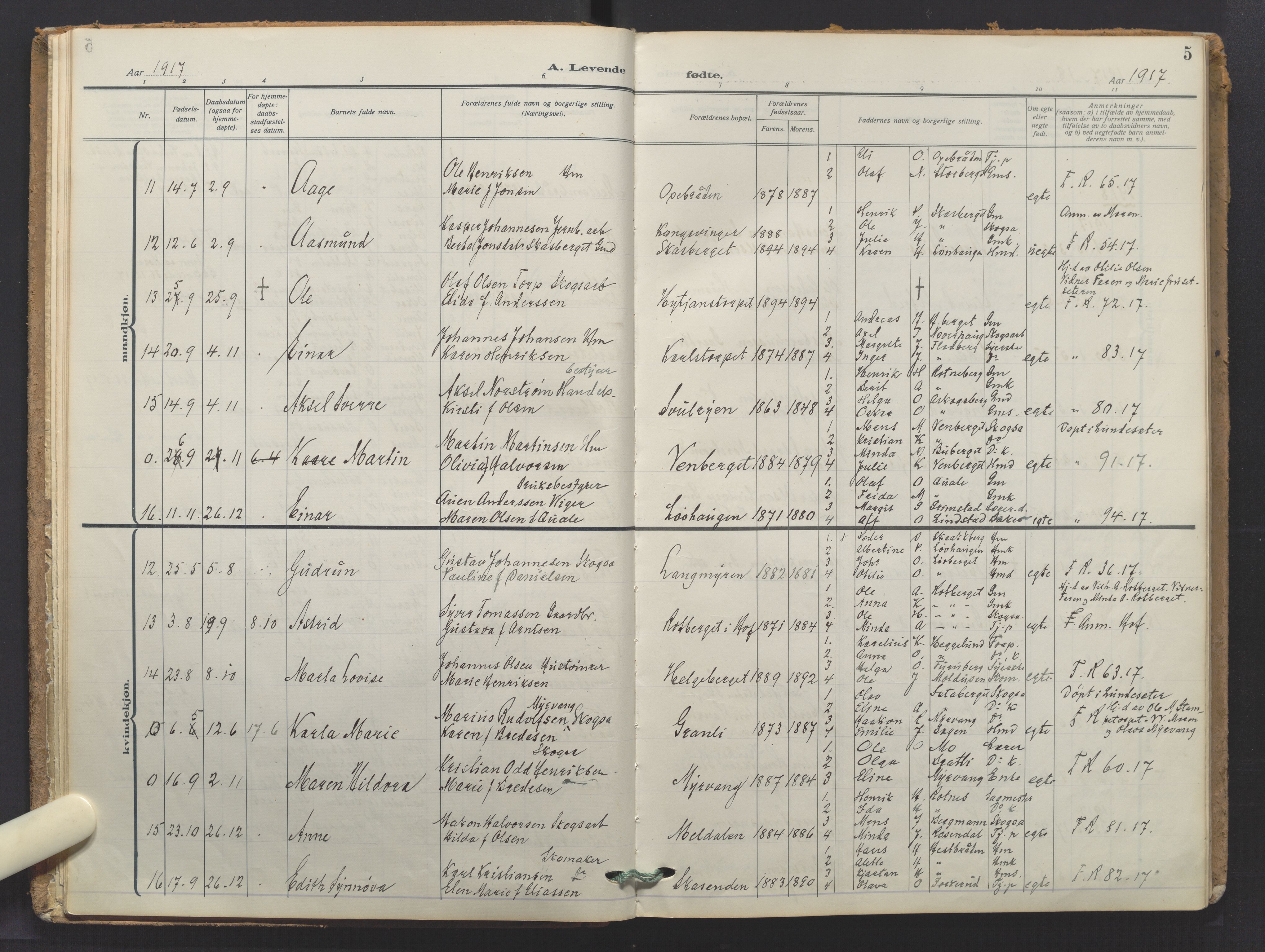 Grue prestekontor, AV/SAH-PREST-036/H/Ha/Haa/L0016: Parish register (official) no. 16, 1916-1947, p. 5