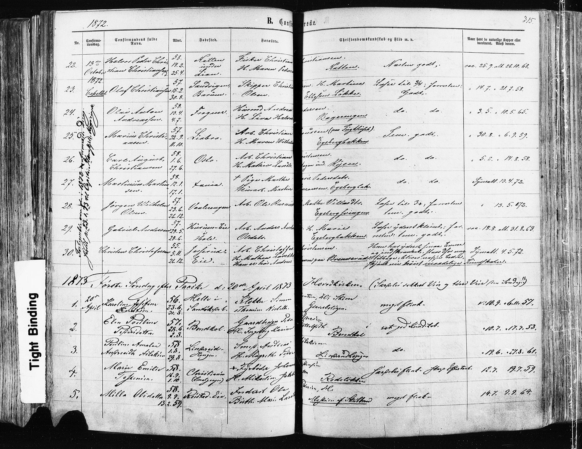 Østre Aker prestekontor Kirkebøker, SAO/A-10840/F/Fa/L0003: Parish register (official) no. I 3, 1869-1875, p. 315