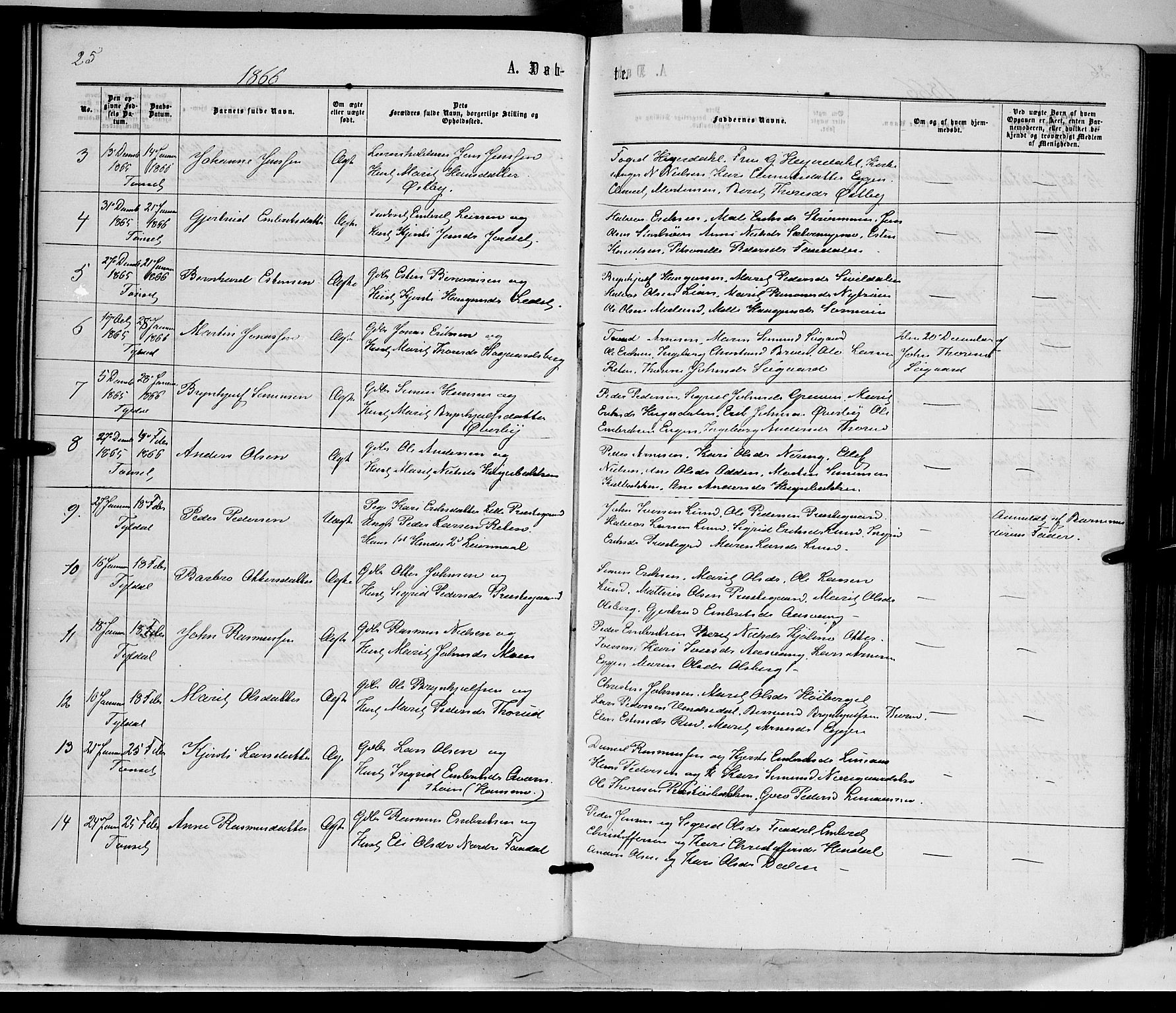 Tynset prestekontor, AV/SAH-PREST-058/H/Ha/Haa/L0021: Parish register (official) no. 21, 1863-1879, p. 25