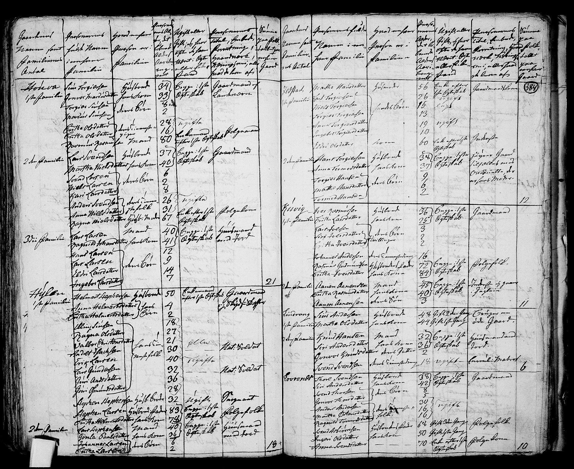 RA, 1801 census for 1138P Jelsa, 1801, p. 383b-384a