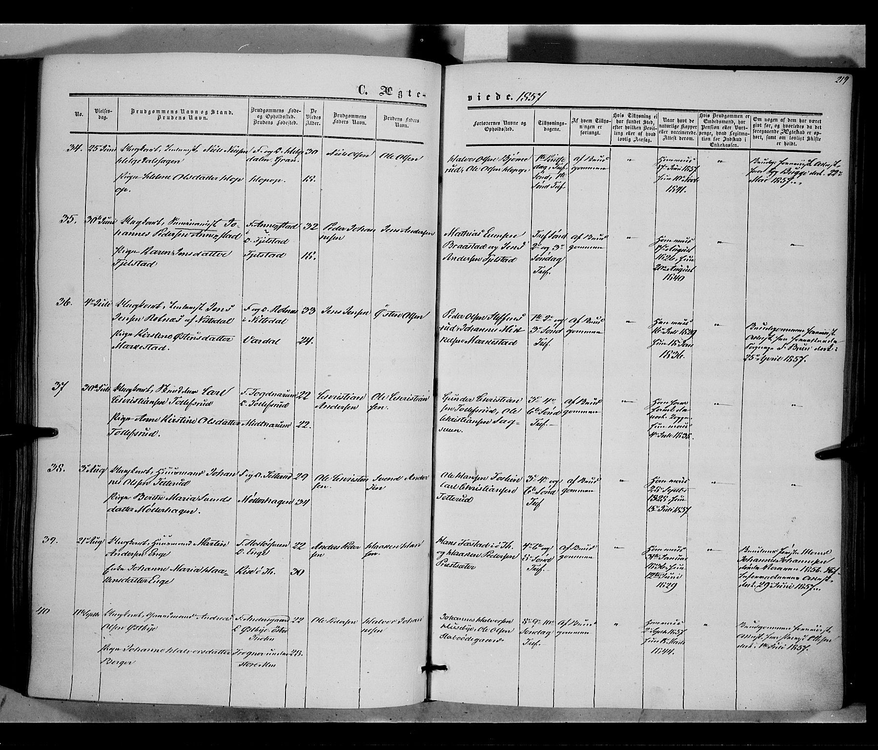 Vestre Toten prestekontor, AV/SAH-PREST-108/H/Ha/Haa/L0006: Parish register (official) no. 6, 1856-1861, p. 219