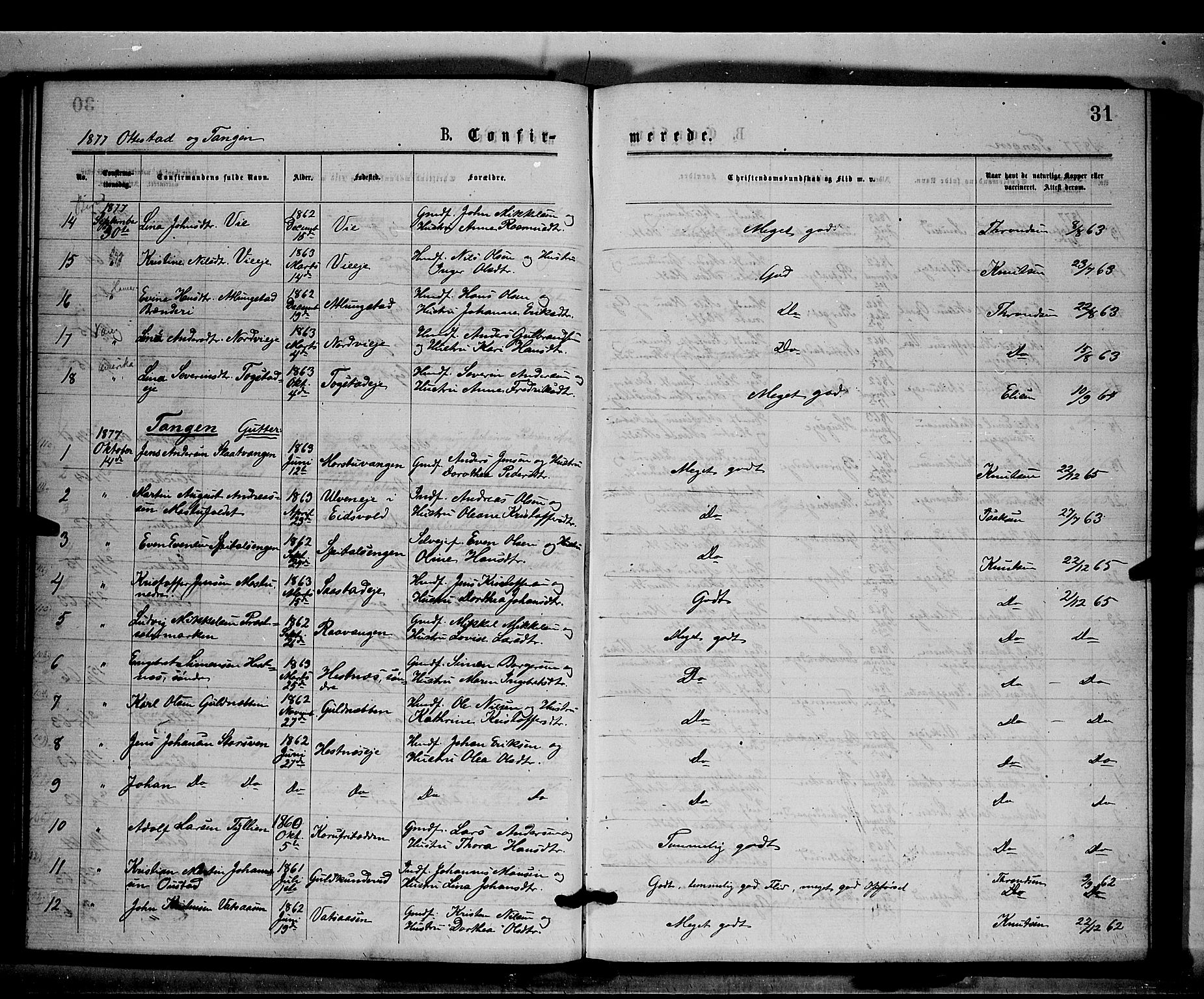 Stange prestekontor, AV/SAH-PREST-002/K/L0016: Parish register (official) no. 16, 1874-1879, p. 31