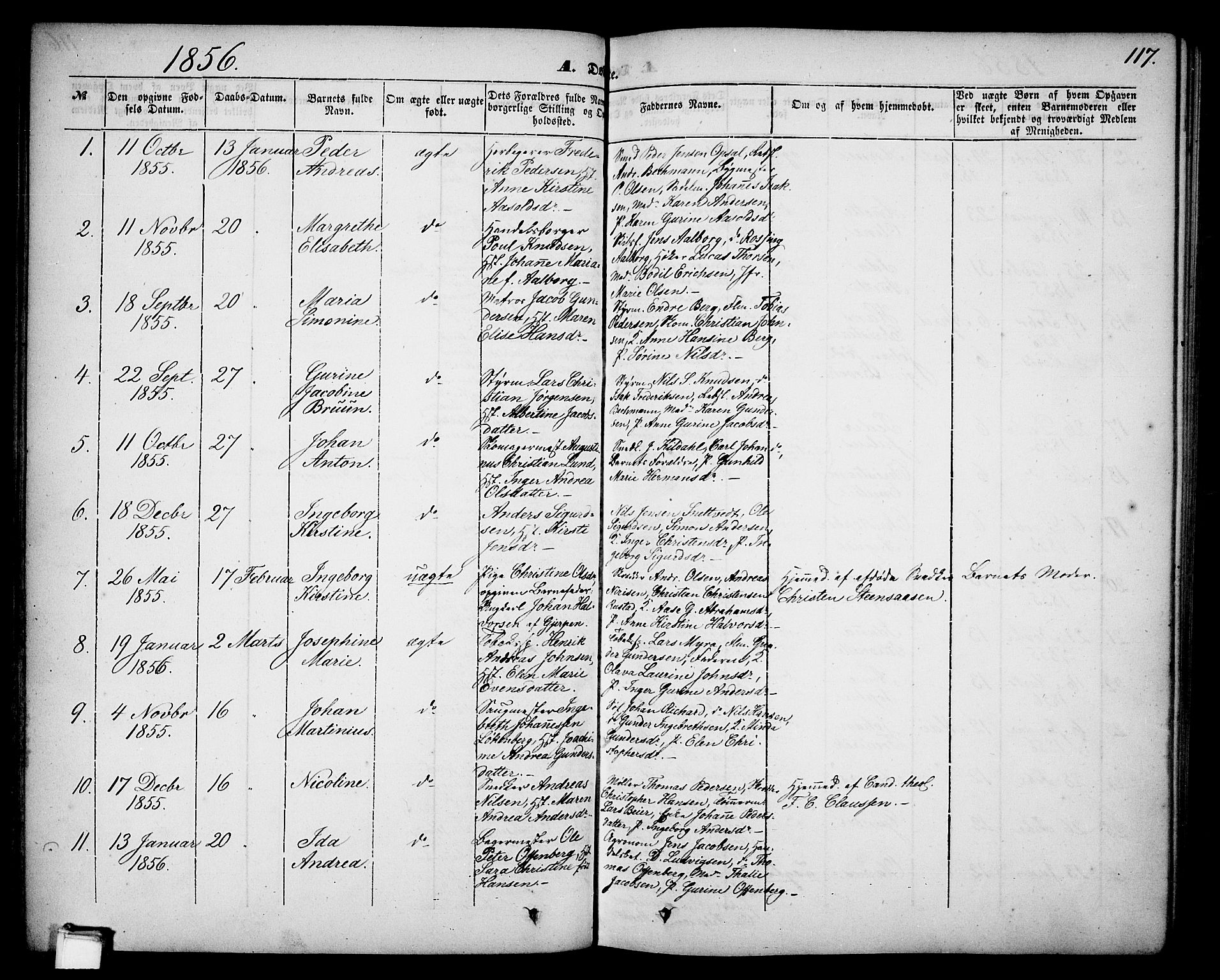 Skien kirkebøker, SAKO/A-302/G/Ga/L0004: Parish register (copy) no. 4, 1843-1867, p. 117