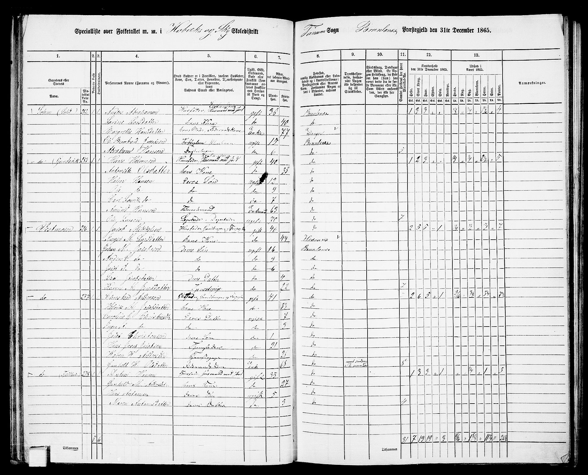 RA, 1865 census for Brunlanes, 1865, p. 46