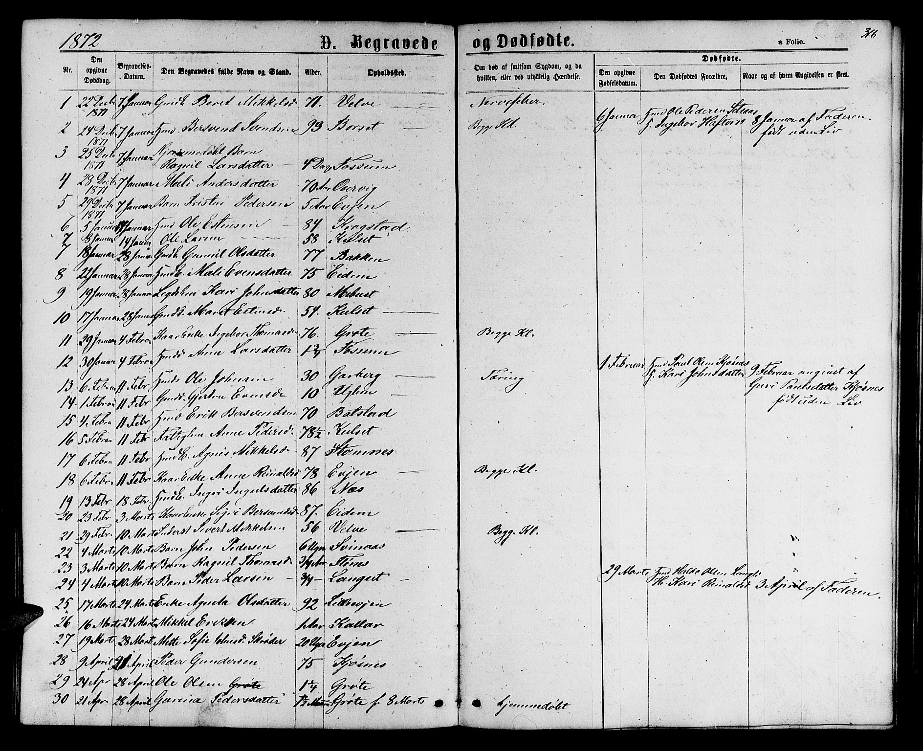 Ministerialprotokoller, klokkerbøker og fødselsregistre - Sør-Trøndelag, SAT/A-1456/695/L1156: Parish register (copy) no. 695C07, 1869-1888, p. 316