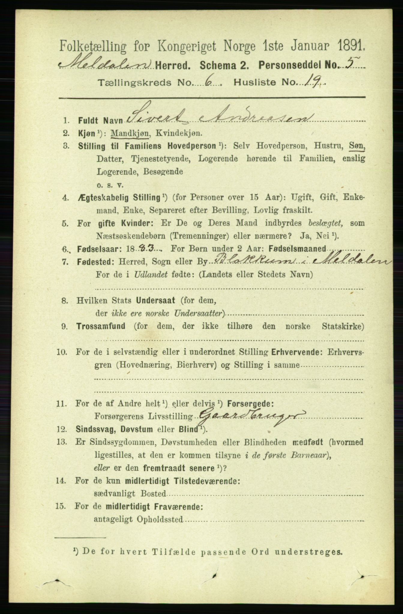 RA, 1891 census for 1636 Meldal, 1891, p. 2990