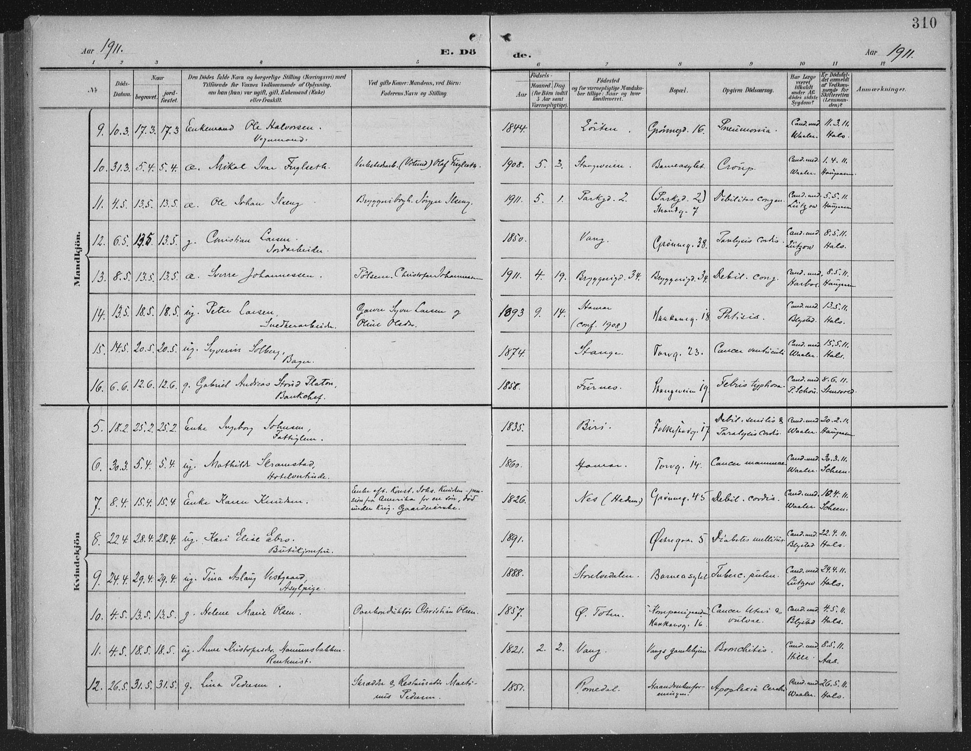 Hamar prestekontor, AV/SAH-DOMPH-002/H/Ha/Haa/L0001: Parish register (official) no. 1, 1900-1914, p. 310