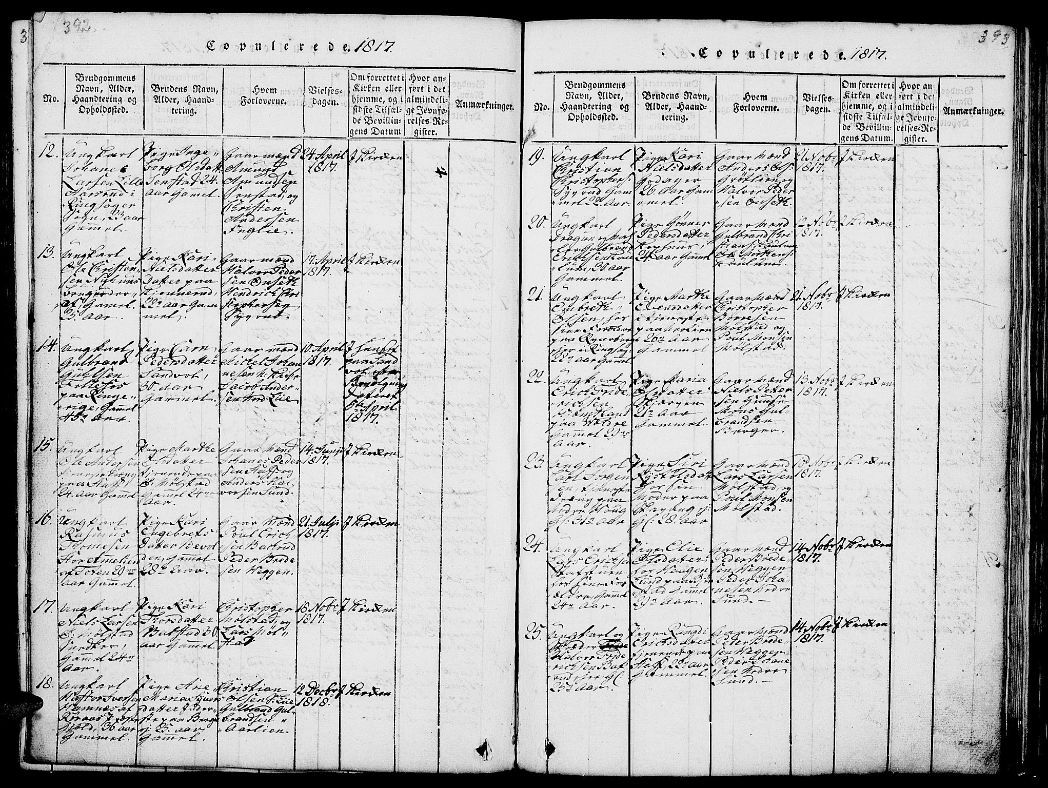 Nes prestekontor, Hedmark, AV/SAH-PREST-020/L/La/L0003: Parish register (copy) no. 3, 1814-1831, p. 392-393