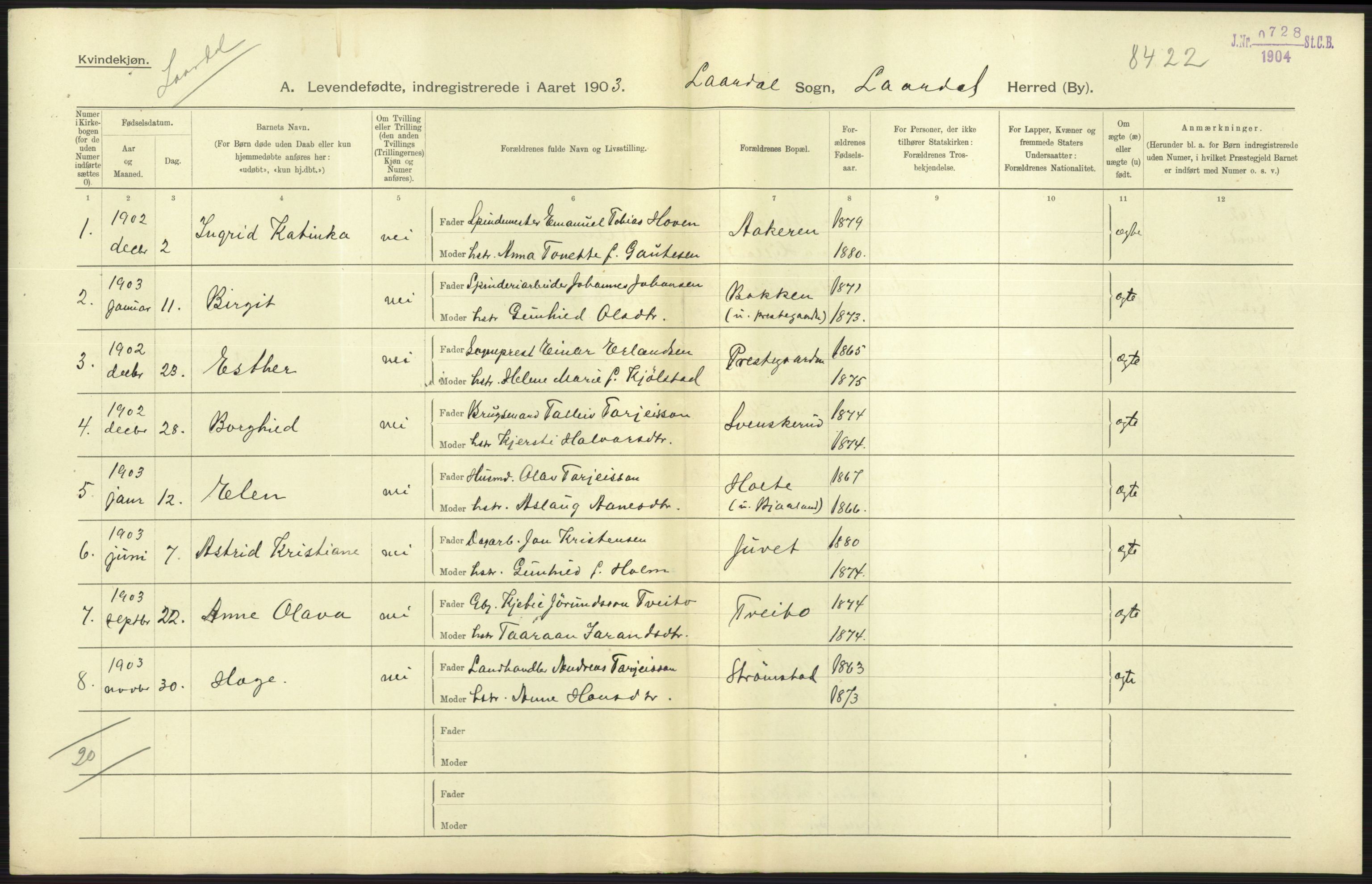 Statistisk sentralbyrå, Sosiodemografiske emner, Befolkning, RA/S-2228/D/Df/Dfa/Dfaa/L0009: Bratsberg amt: Fødte, gifte, døde, 1903, p. 23