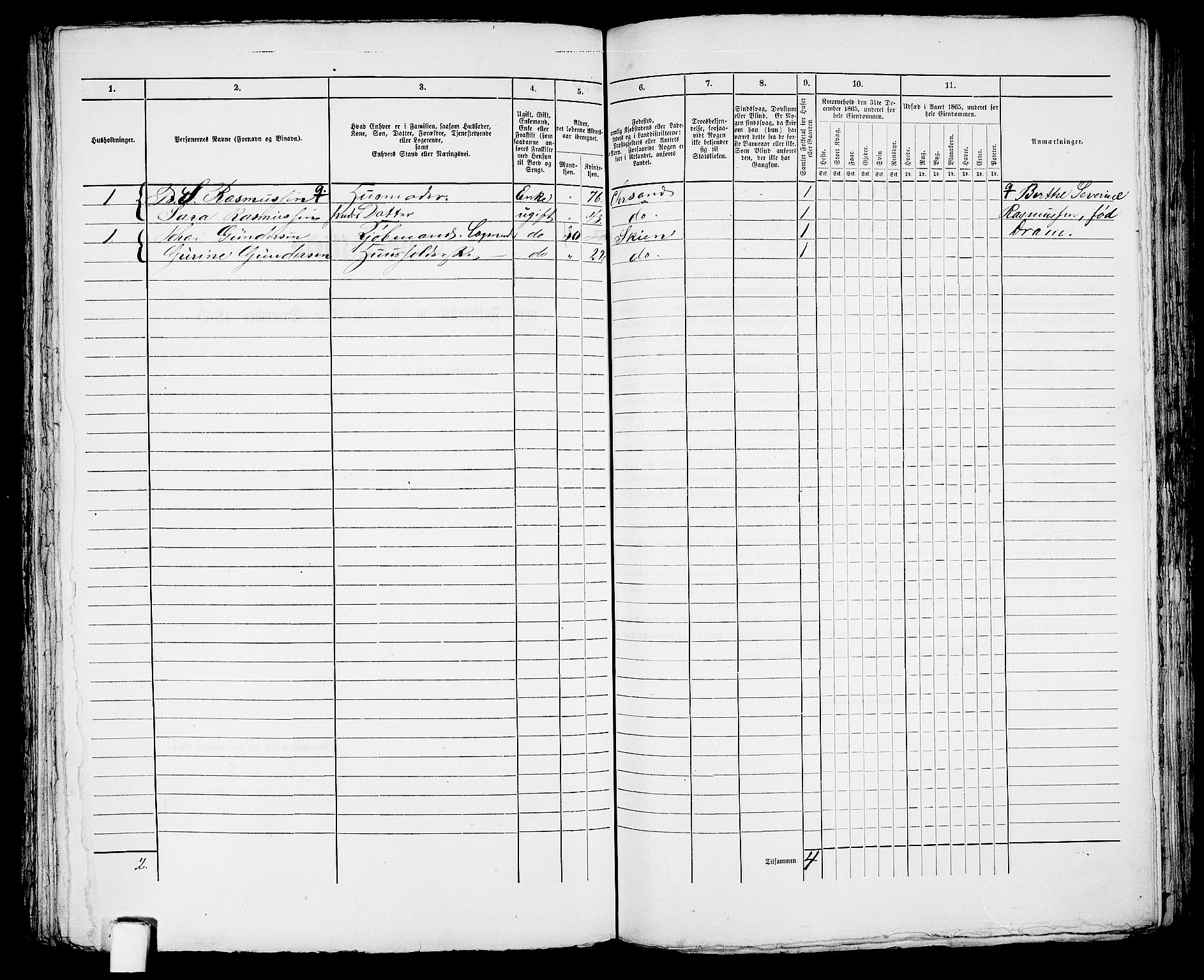 RA, 1865 census for Kristiansand, 1865, p. 1918