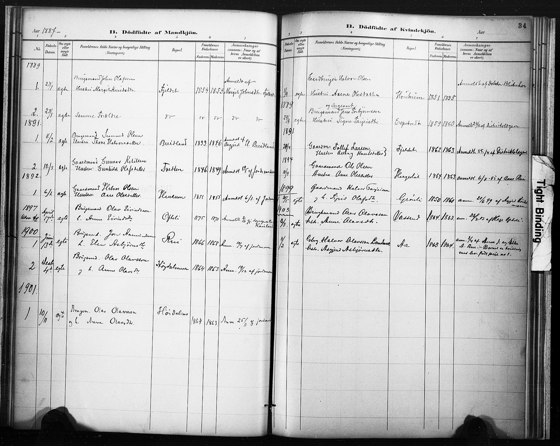 Lårdal kirkebøker, SAKO/A-284/F/Fc/L0002: Parish register (official) no. III 2, 1887-1906, p. 34