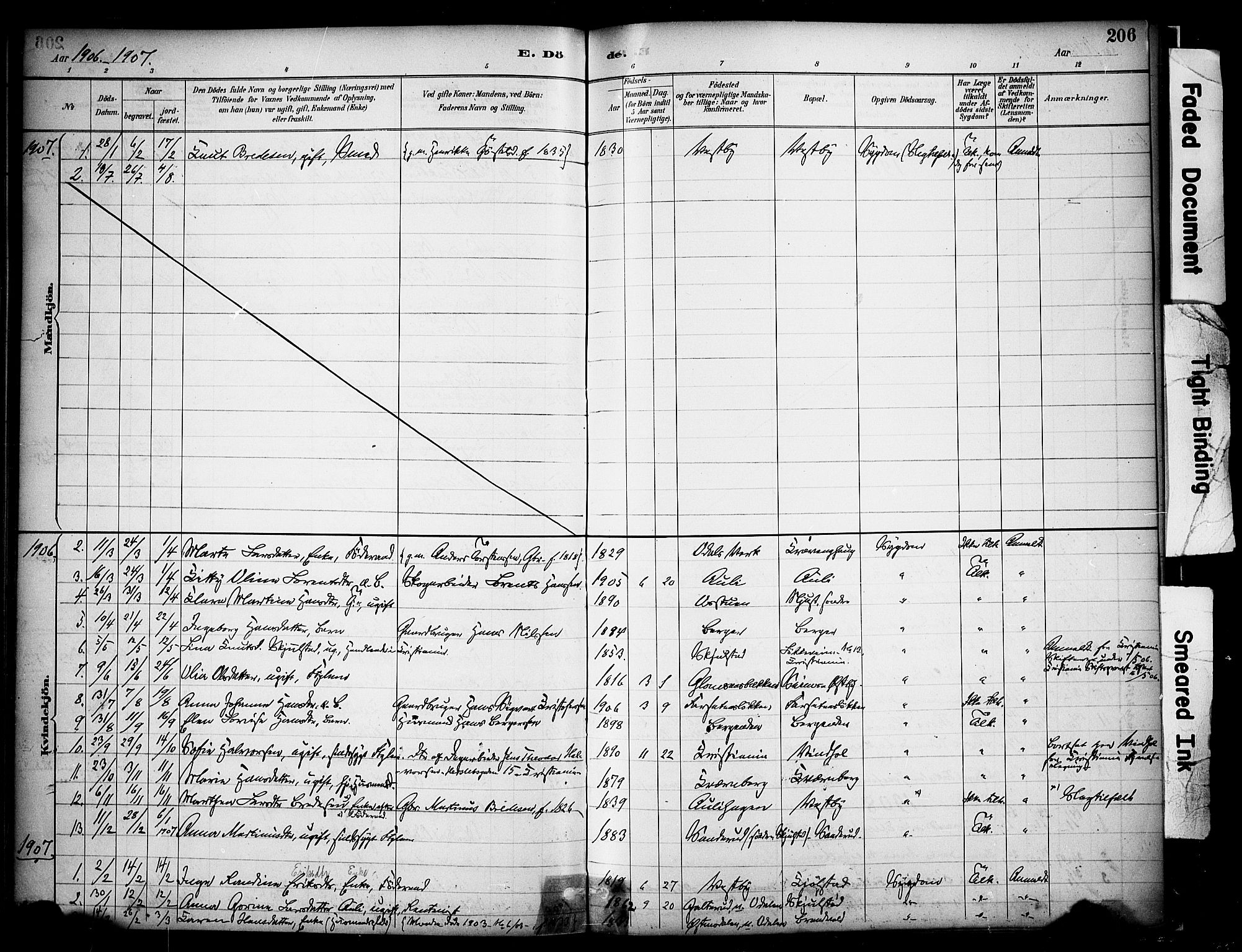 Sør-Odal prestekontor, AV/SAH-PREST-030/H/Ha/Haa/L0009: Parish register (official) no. 9, 1886-1926, p. 206
