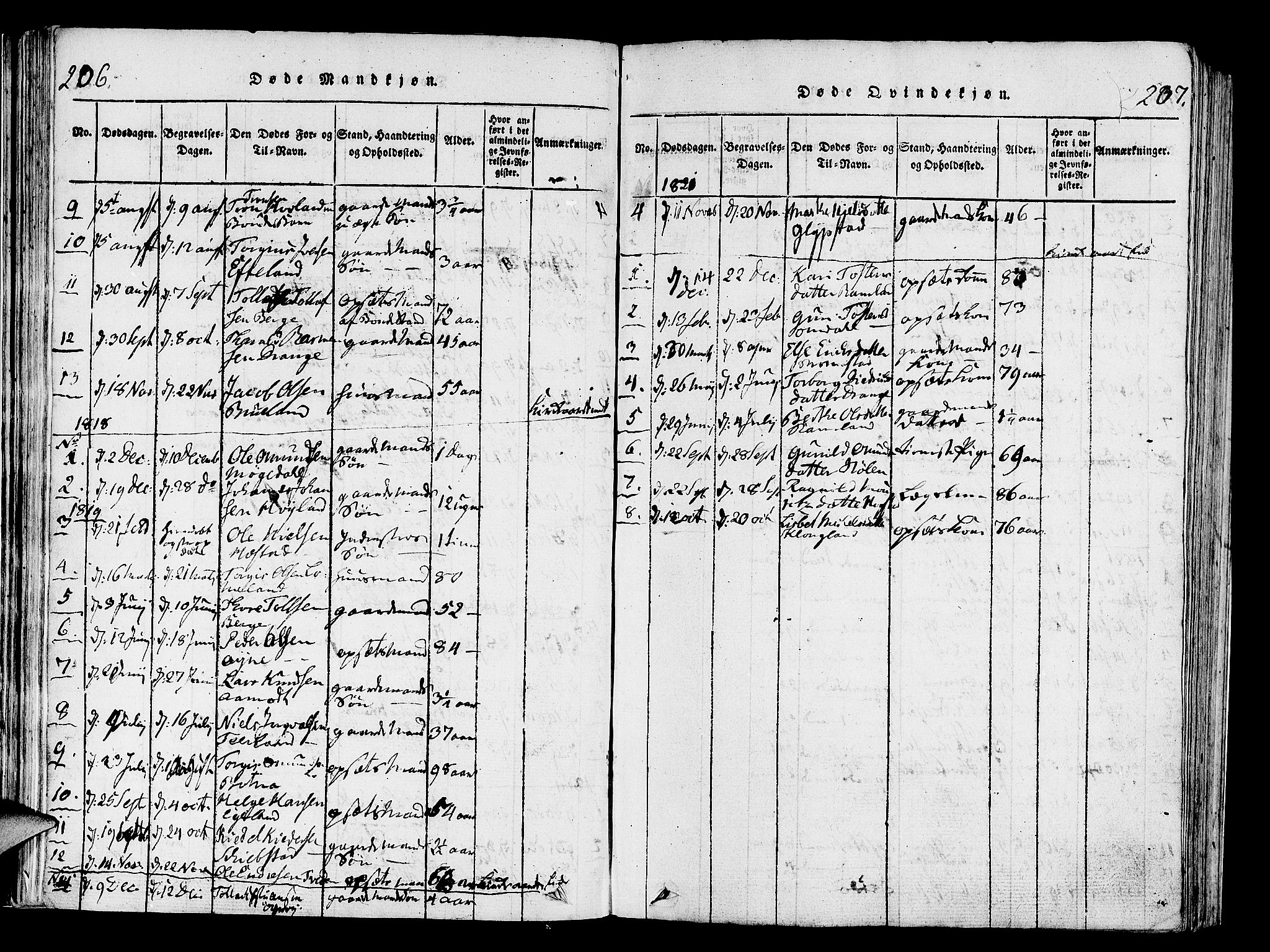 Helleland sokneprestkontor, SAST/A-101810: Parish register (official) no. A 4, 1815-1834, p. 206-207