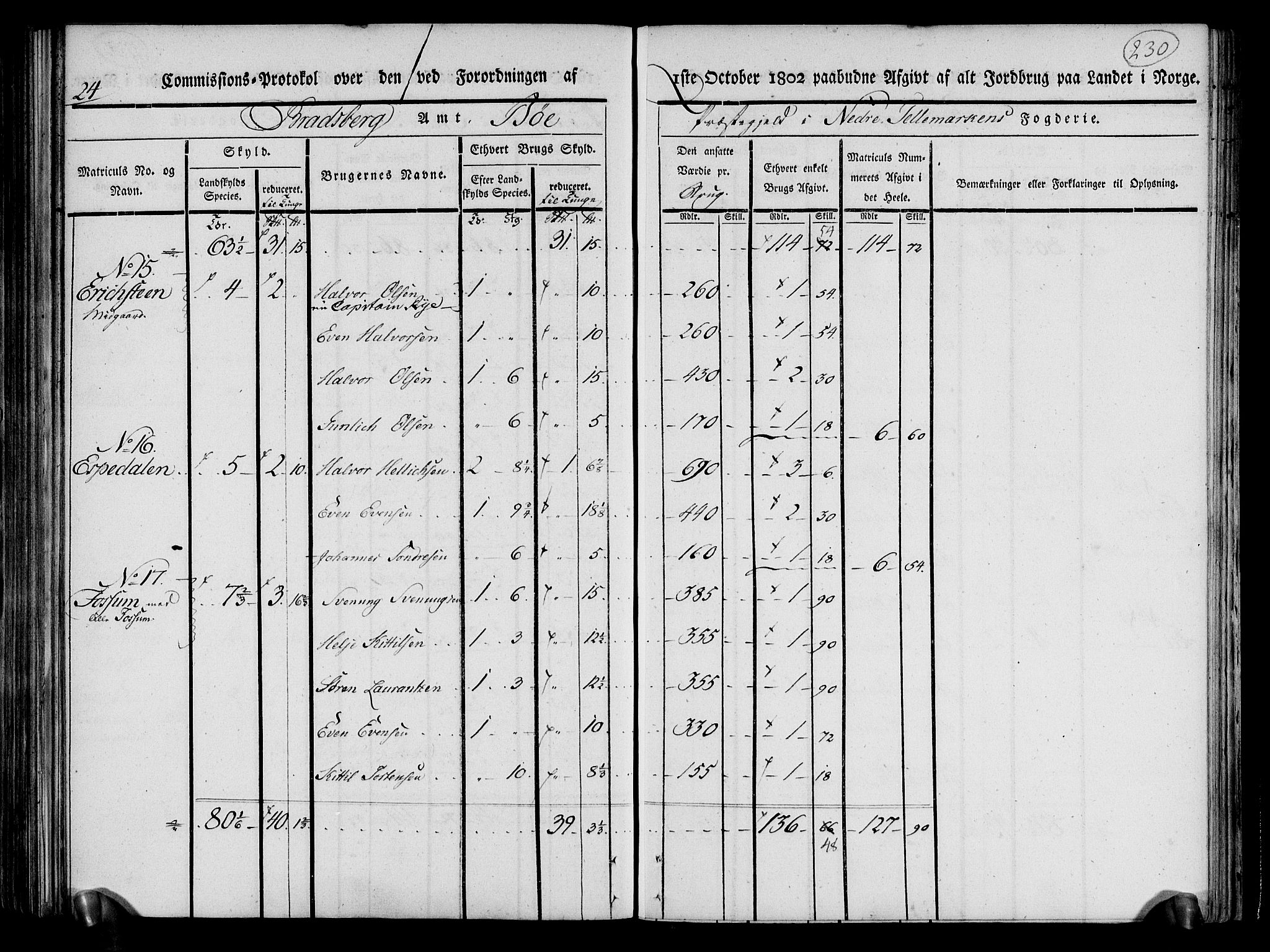 Rentekammeret inntil 1814, Realistisk ordnet avdeling, AV/RA-EA-4070/N/Ne/Nea/L0070: og 0071: Nedre Telemarken og Bamble fogderi. Kommisjonsprotokoll for Gjerpen, Solum, Holla, Bø, Sauherad og Heddal prestegjeld., 1803, p. 118