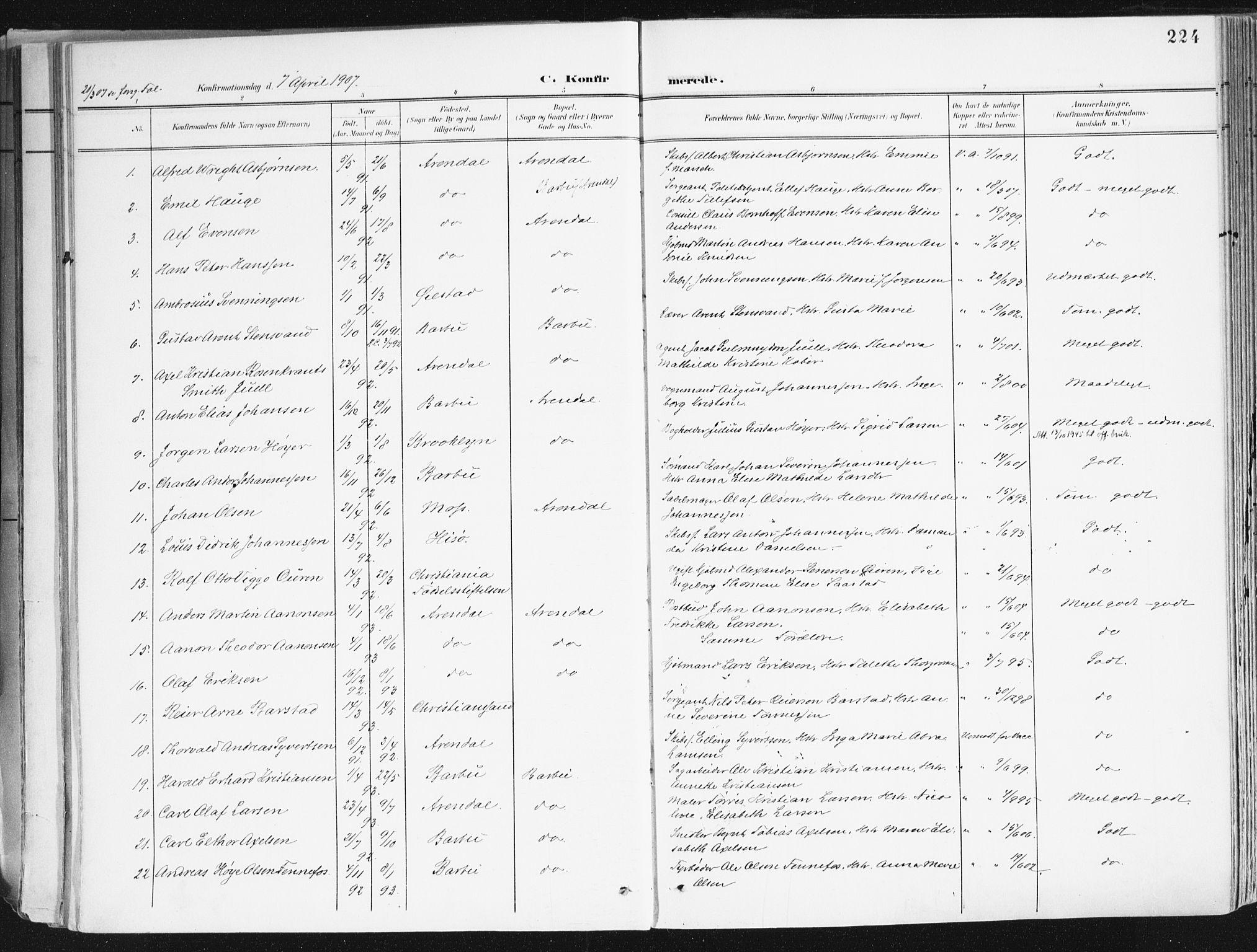 Arendal sokneprestkontor, Trefoldighet, AV/SAK-1111-0040/F/Fa/L0010: Parish register (official) no. A 10, 1900-1919, p. 224