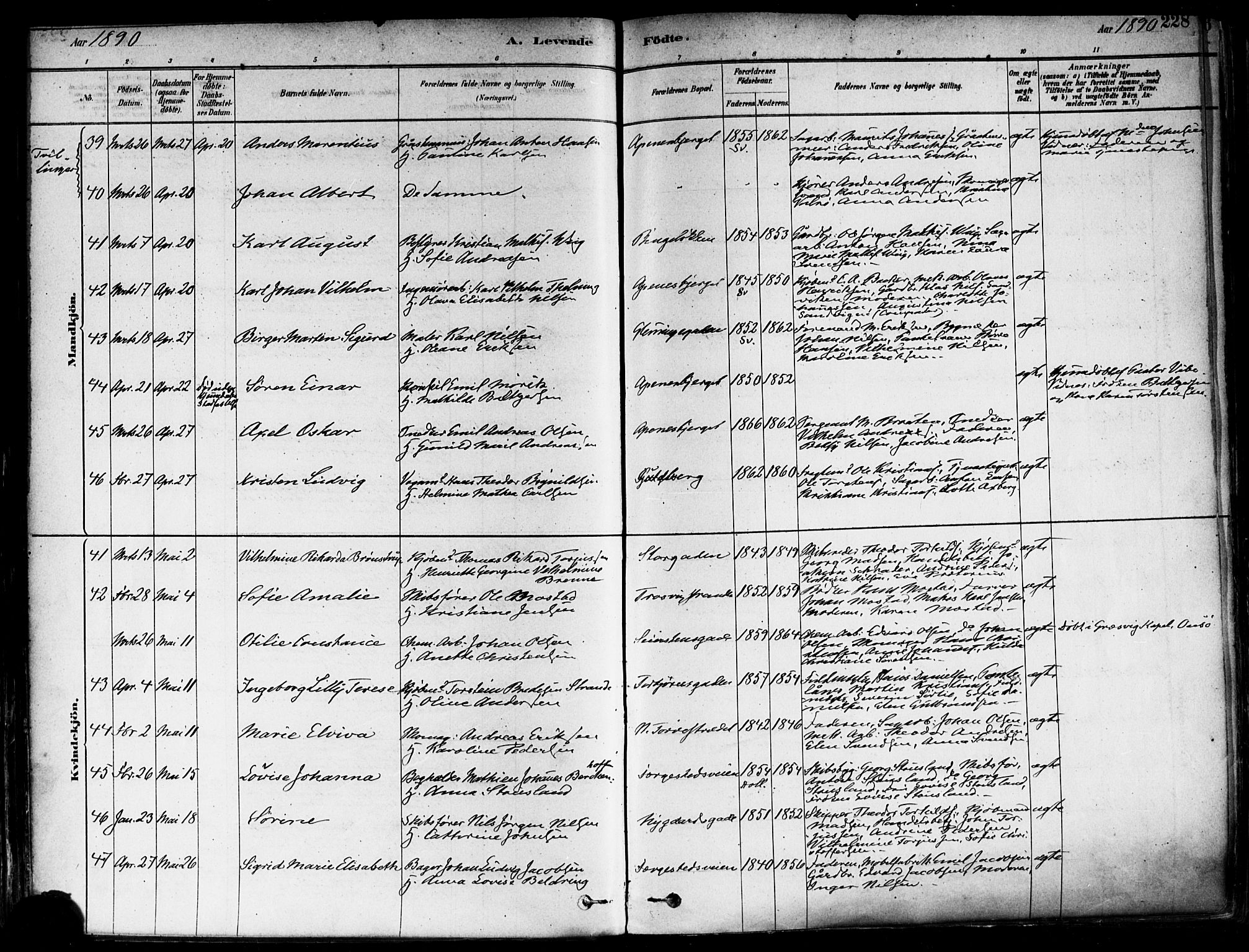 Fredrikstad domkirkes prestekontor Kirkebøker, SAO/A-10906/F/Fa/L0002: Parish register (official) no. 2, 1878-1894, p. 228