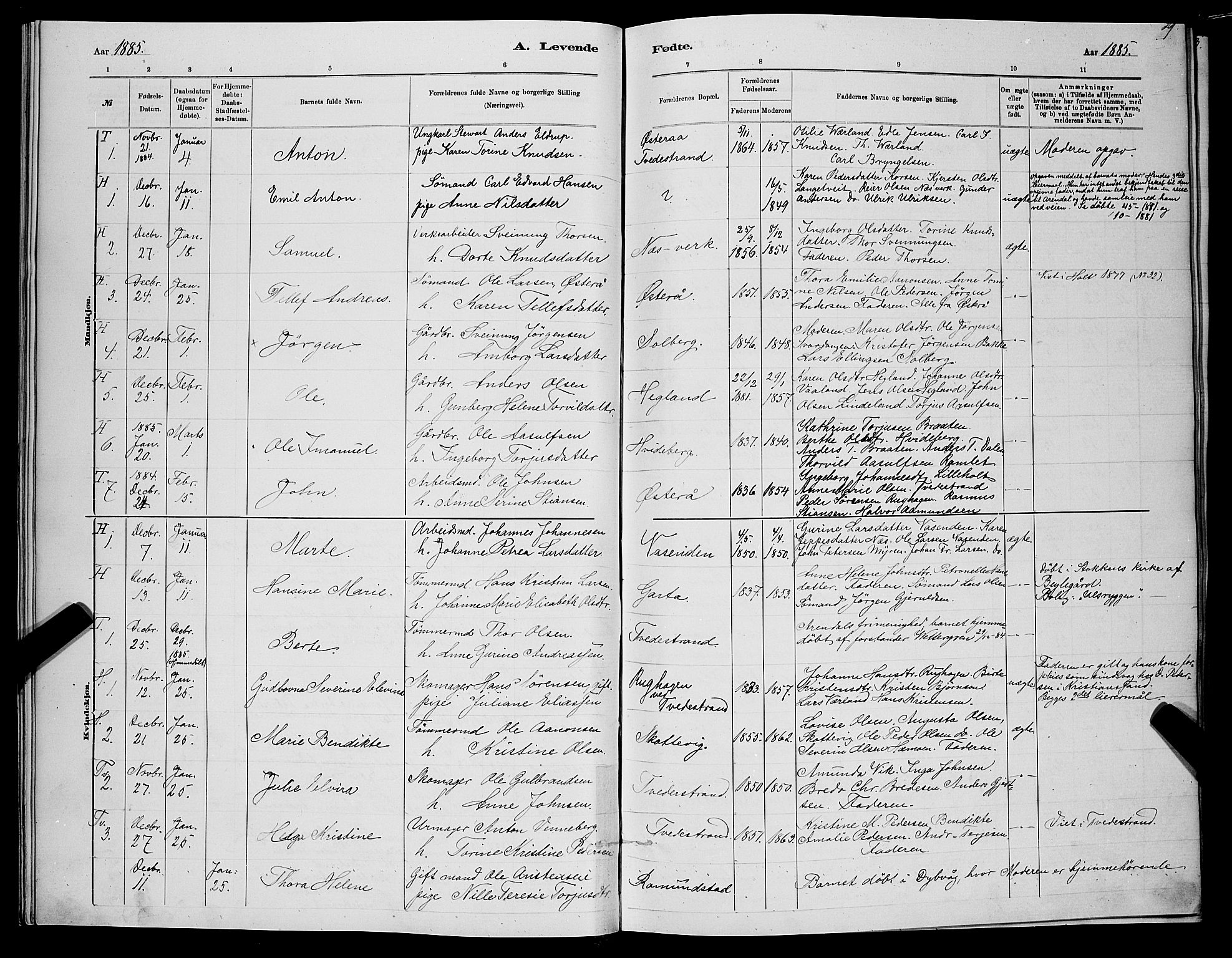 Holt sokneprestkontor, SAK/1111-0021/F/Fb/L0010: Parish register (copy) no. B 10, 1883-1896, p. 29