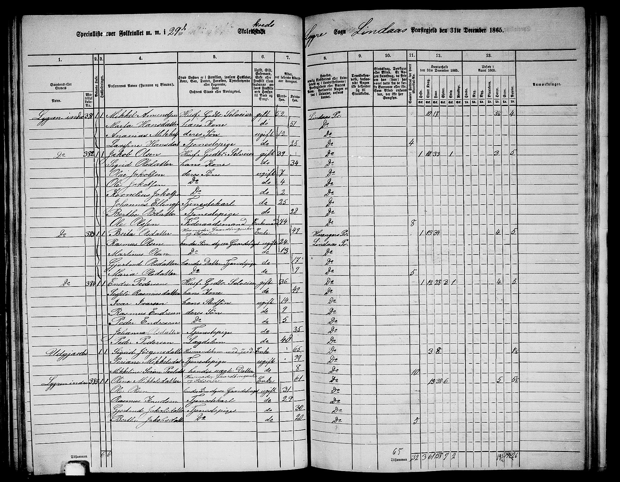 RA, 1865 census for Lindås, 1865, p. 169