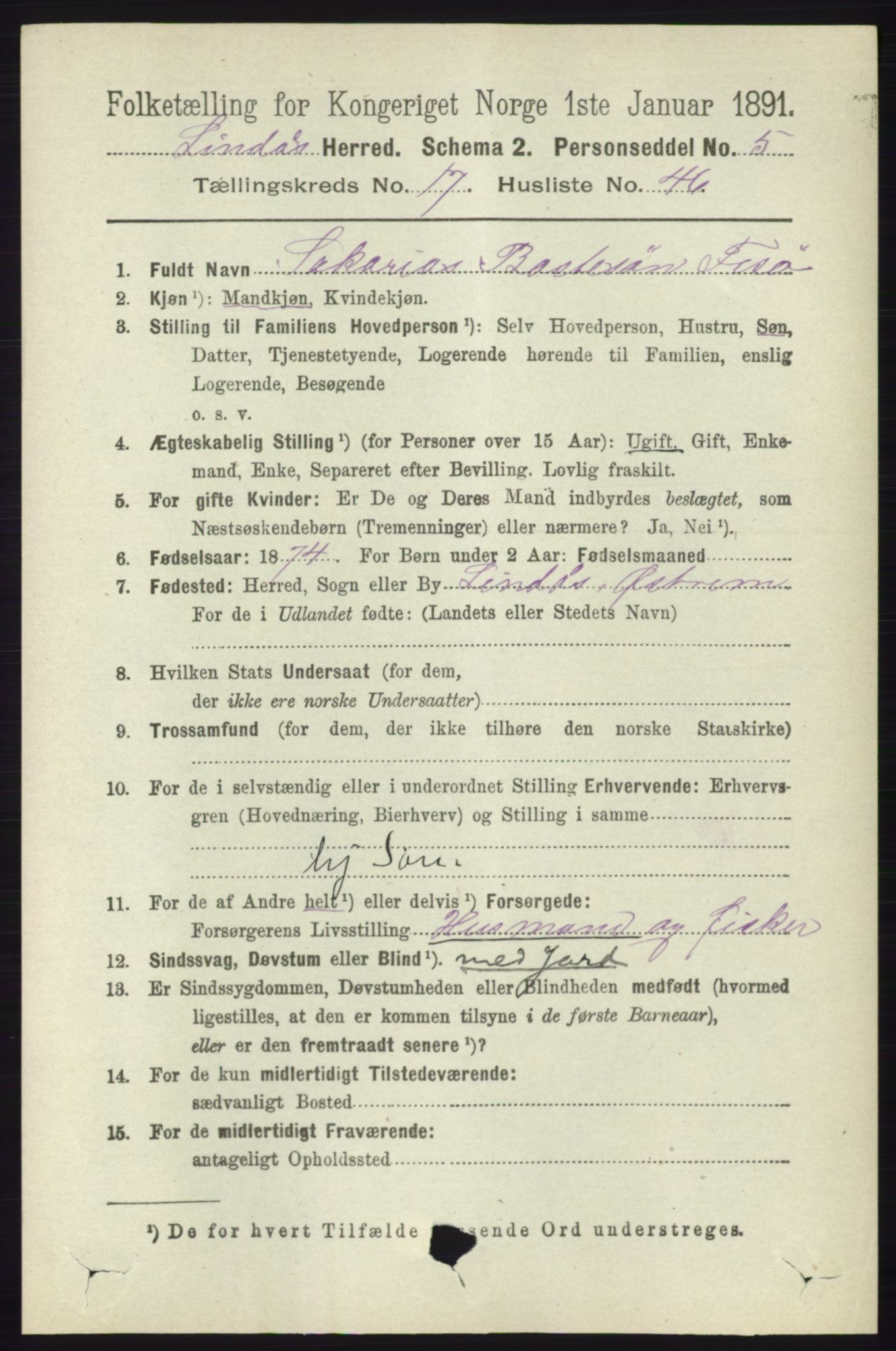 RA, 1891 census for 1263 Lindås, 1891, p. 6452