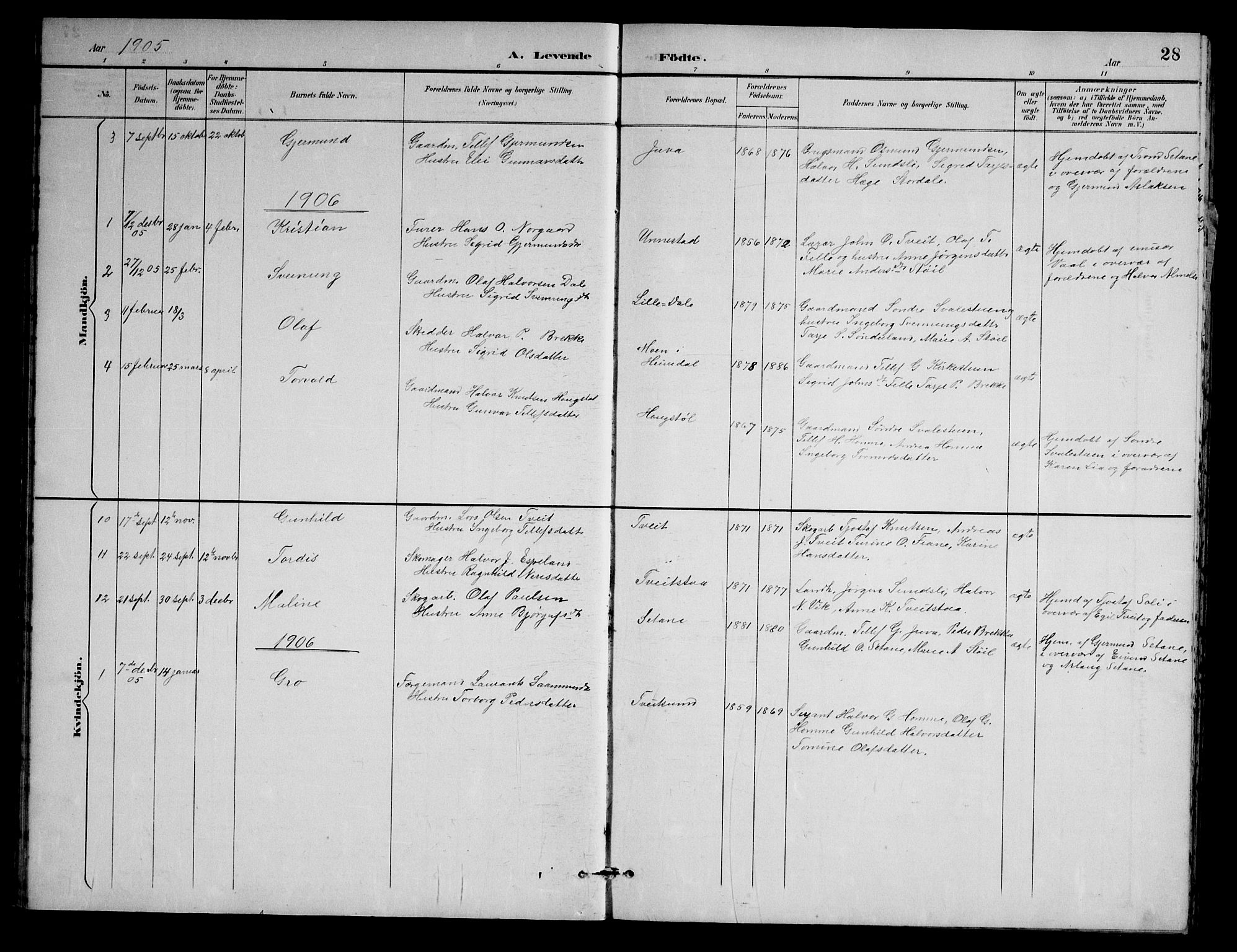 Nissedal kirkebøker, AV/SAKO-A-288/G/Gb/L0003: Parish register (copy) no. II 3, 1893-1928, p. 28