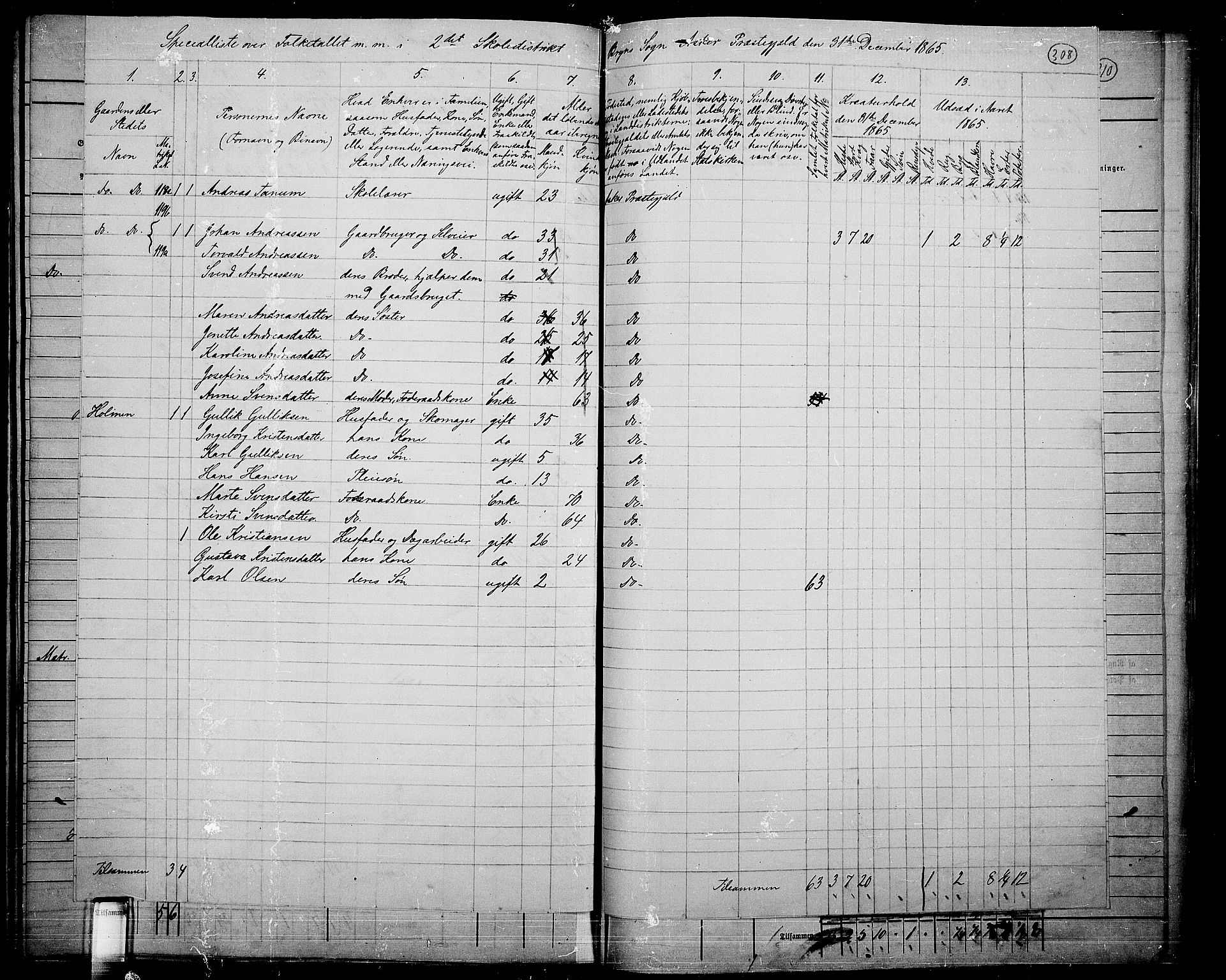 RA, 1865 census for Asker, 1865, p. 298